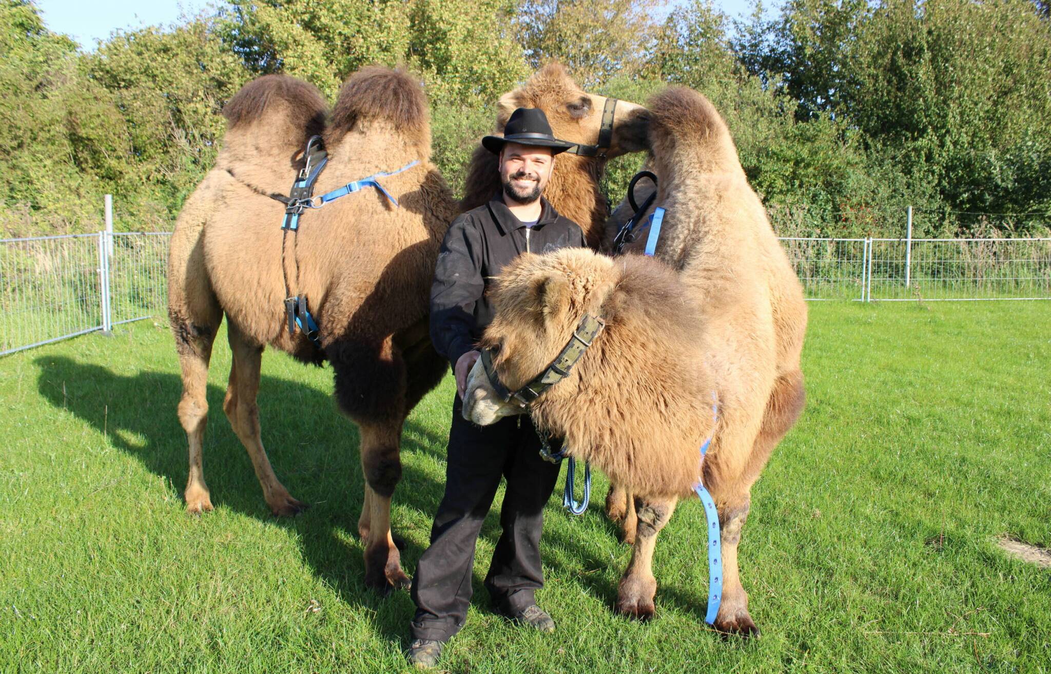  Marvin Schumacher erfüllte sich den Traum einer Kamelfarm: „Jenges“ und „Faruk“ sind die neuen „Mitbewohner“.   