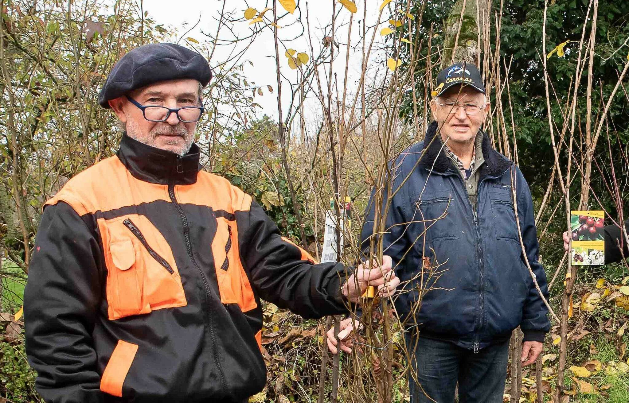 Bereits 2022 waren die Klimabäume bei den Bürgern begehrt (von links): Axel Kriegler und Udo Höltmann.