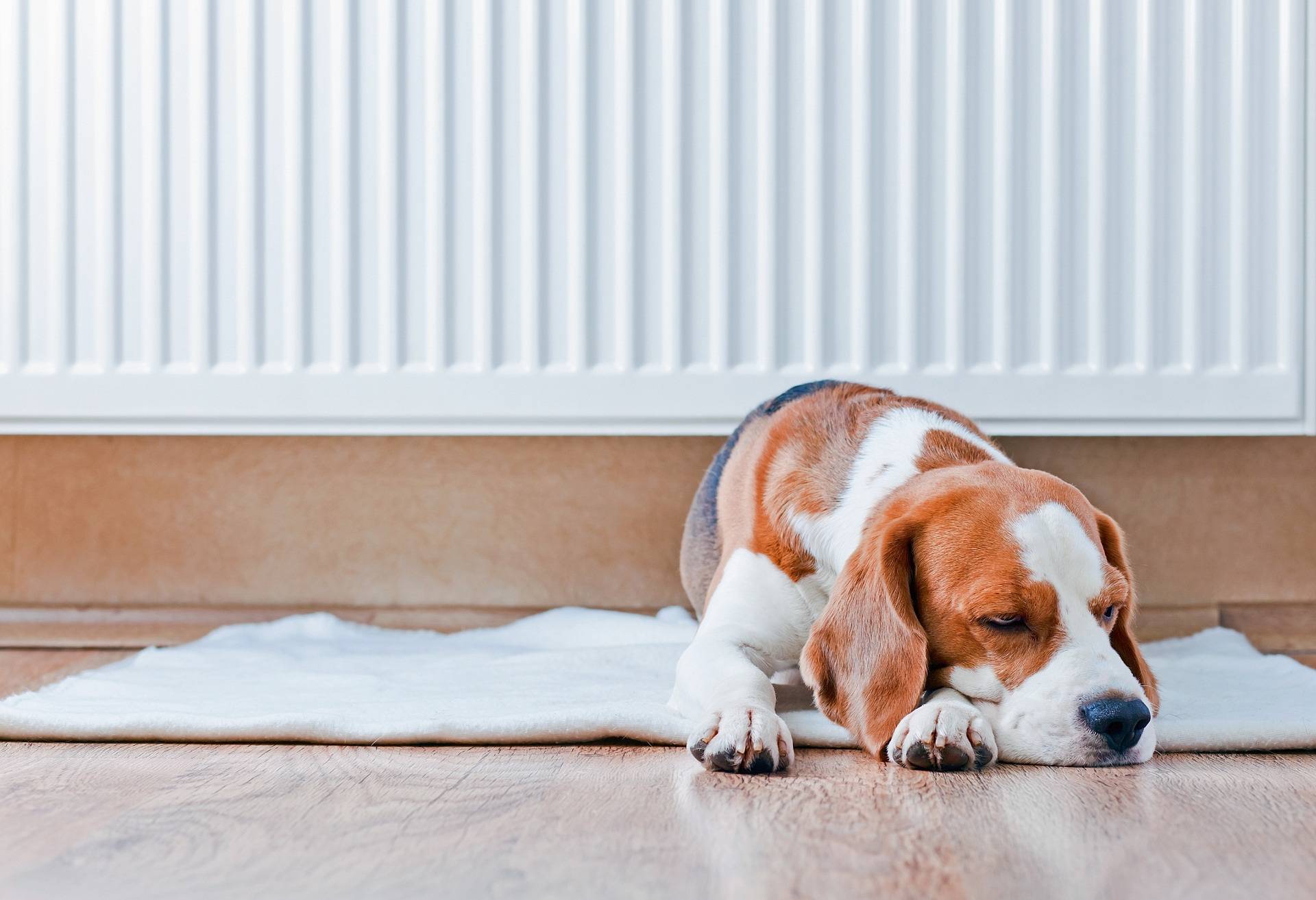  Klimaschutz fängt beim Heizen an. Oder beim Nicht-Heizen. 