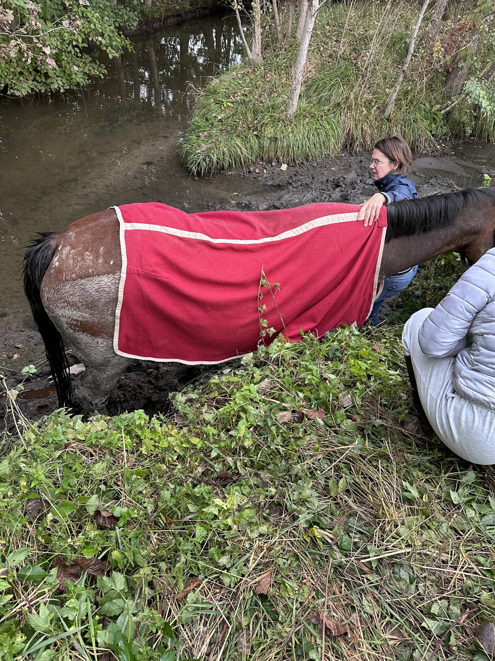  Zum Glück bliebt das Pferd ruhig. 