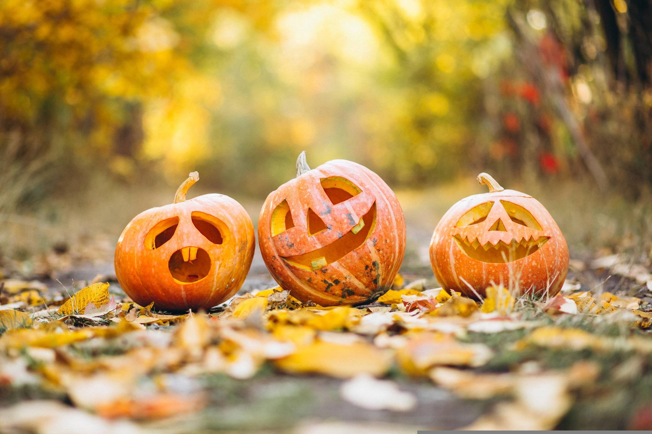 Tipps der Polizei: Im ganzen Land steht die schaurig schöne Halloween-Nacht bevor