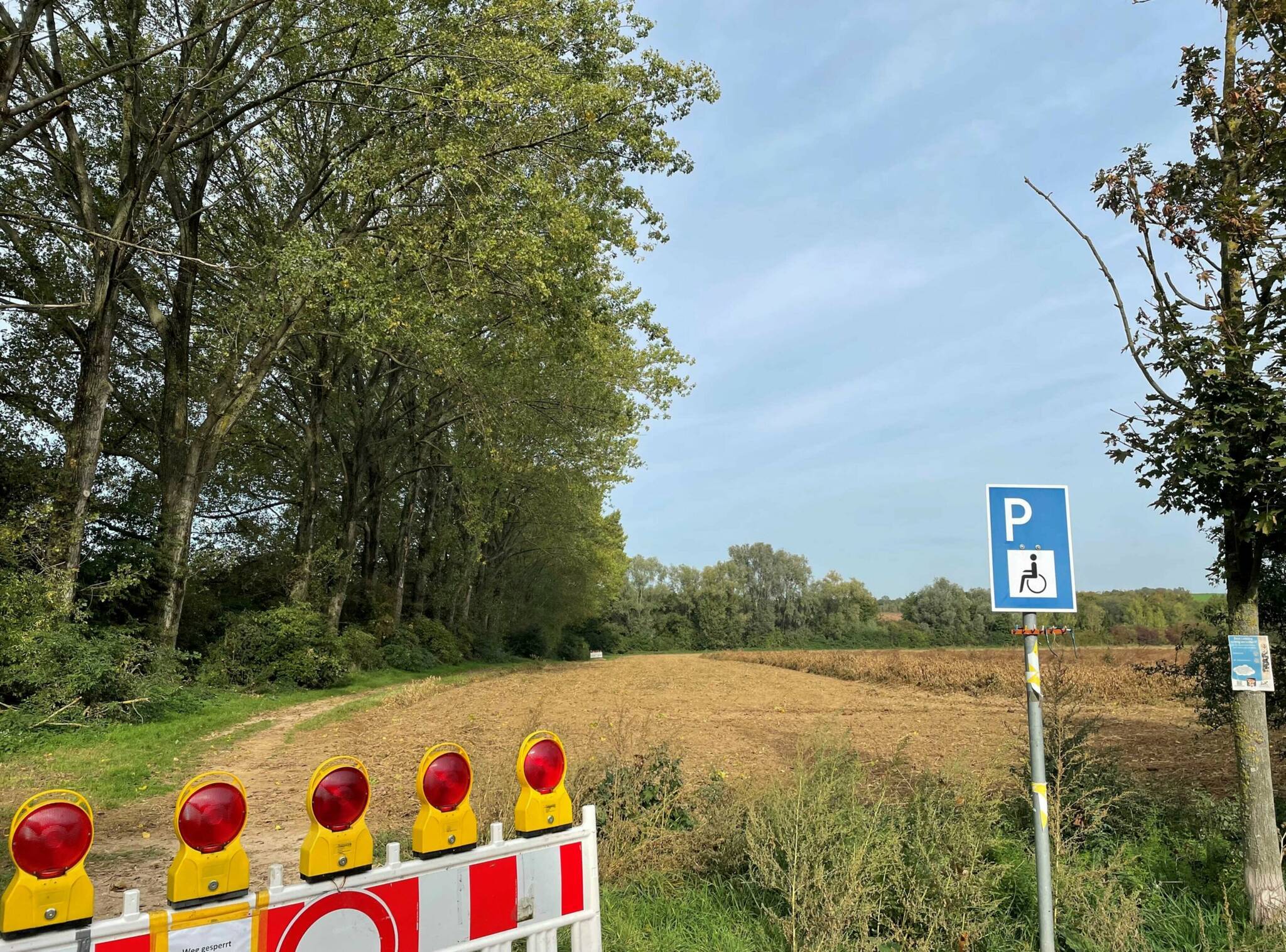Starker Pilzbefall macht Baumfällungen im Elsbachtal notwendig