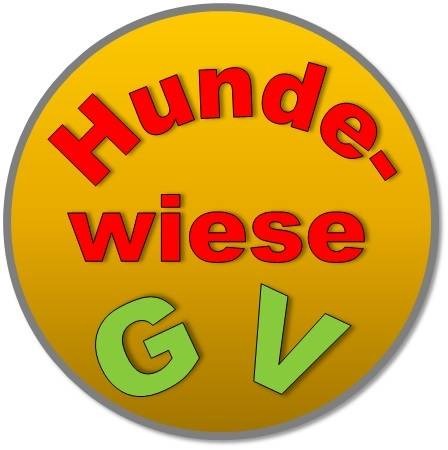Bürger fordern einen sicher umzäunten „Hunde-Spielplatz“​