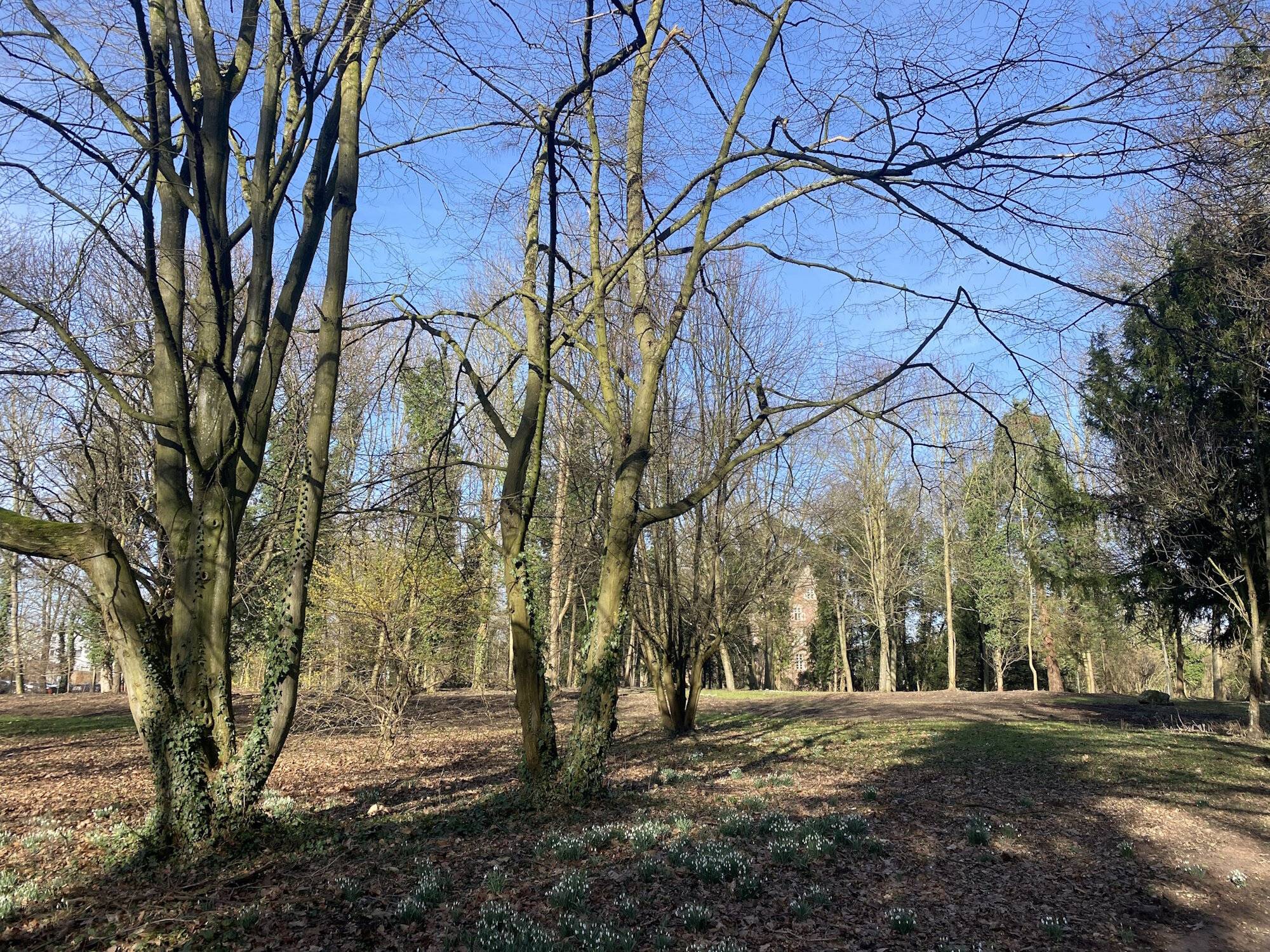  Der erste Teil der Umbauarbeiten im Bedburger Schloss-Park ist abgeschlossen. 
