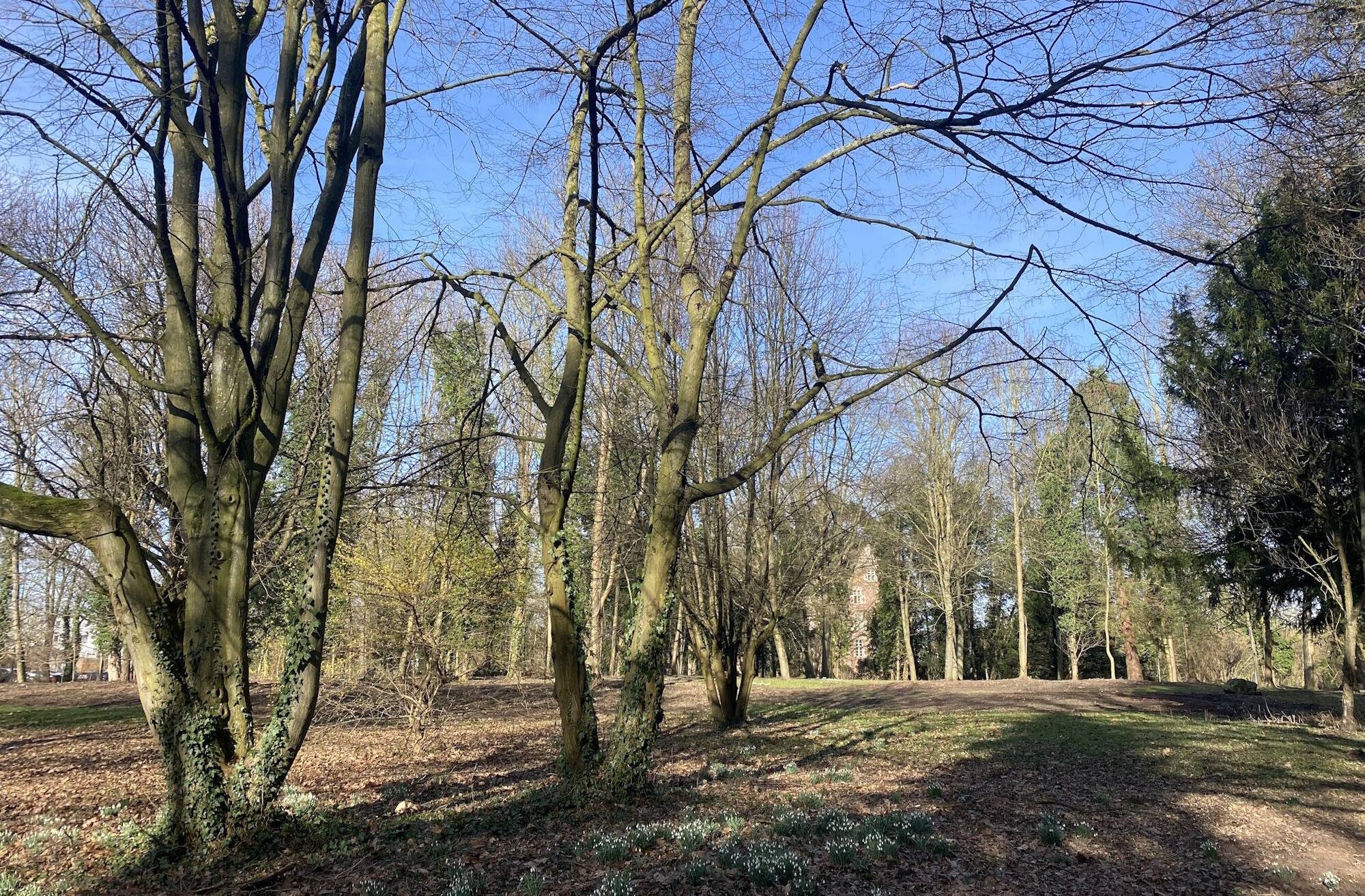  Der erste Teil der Umbauarbeiten im Bedburger Schloss-Park ist abgeschlossen. 