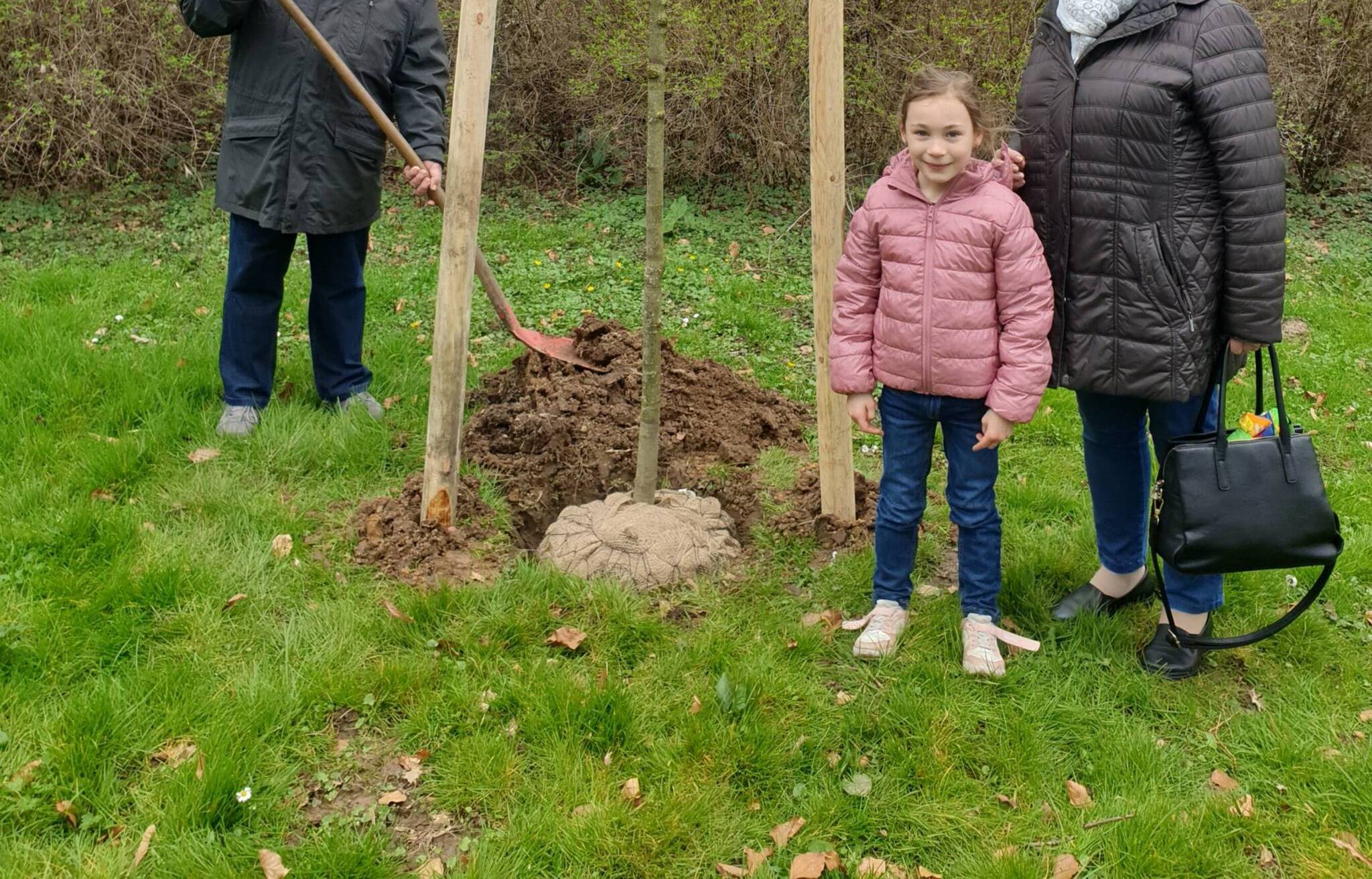 Neue Bäume, Tische und Stühle für den Klosterpark