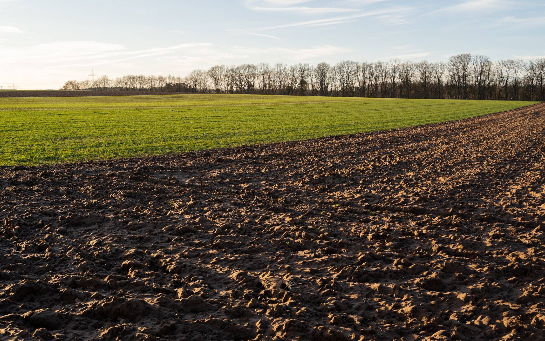  Auf Äckern, Weiden und Wiesen in Grevenbroich und Rommerskirchen wird der" Geologische Dienst" des Landes in den nächsten Monaten Bodenuntersuchungen vornehmen. 