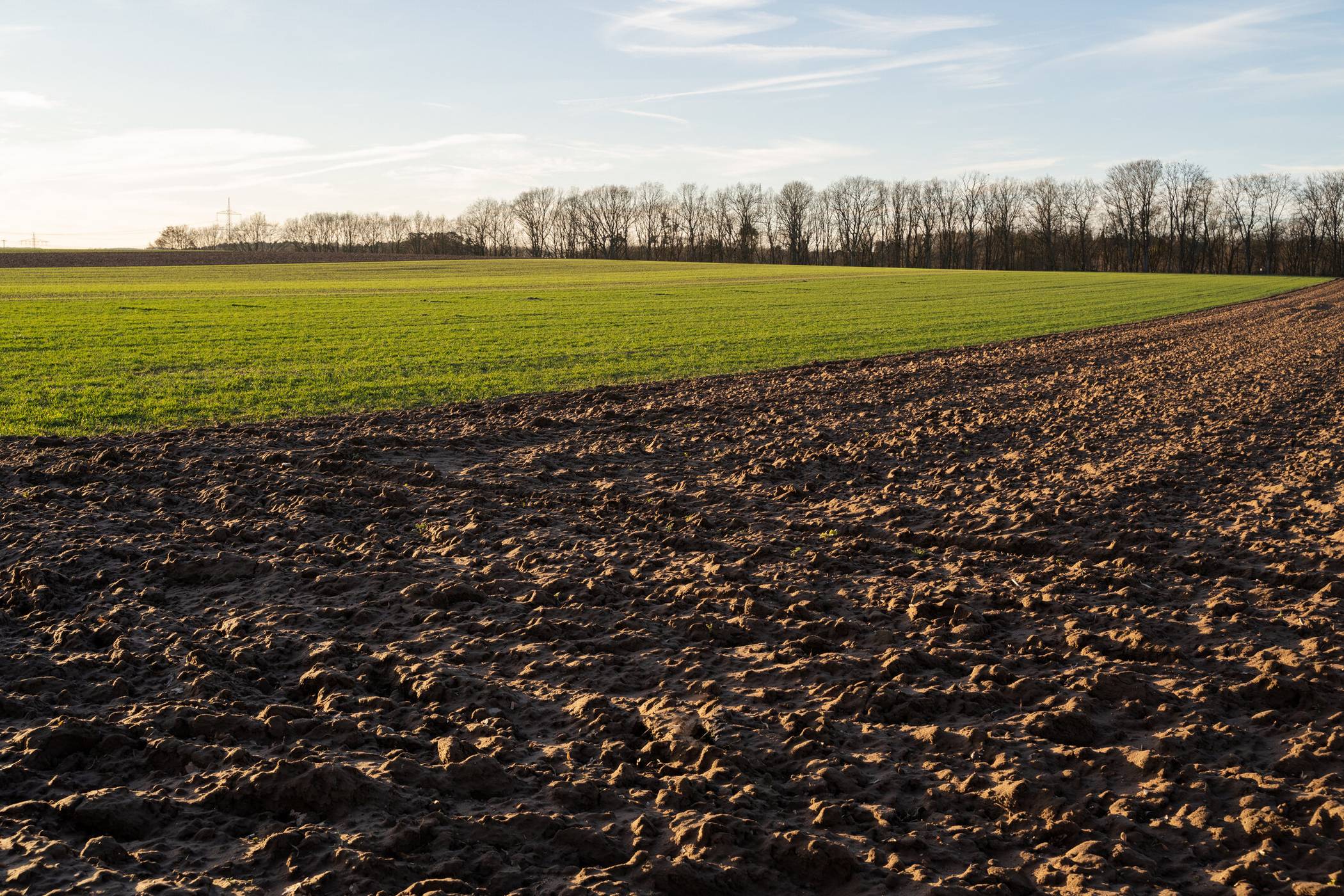  Auf Äckern, Weiden und Wiesen in Grevenbroich und Rommerskirchen wird der" Geologische Dienst" des Landes in den nächsten Monaten Bodenuntersuchungen vornehmen. 