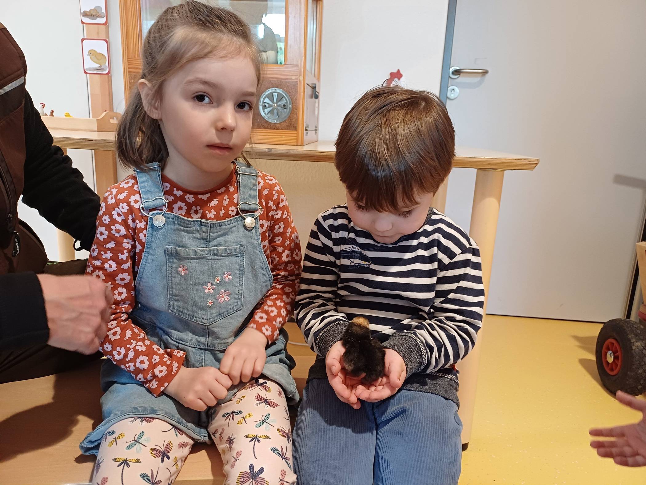  Küken Montessori-Kinderhaus Otzenrath 