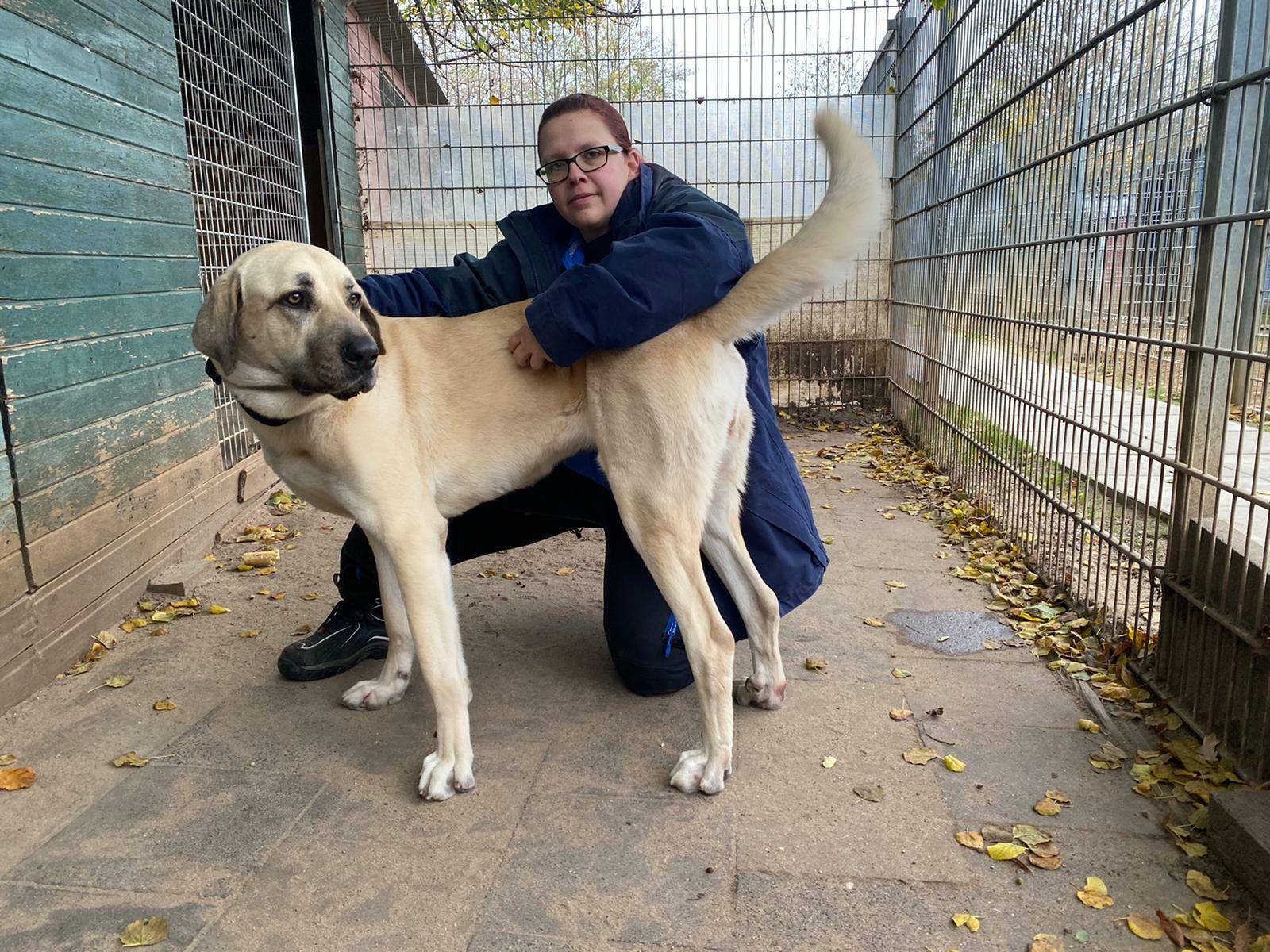 „Auch Tiere haben Trennungsschmerz“