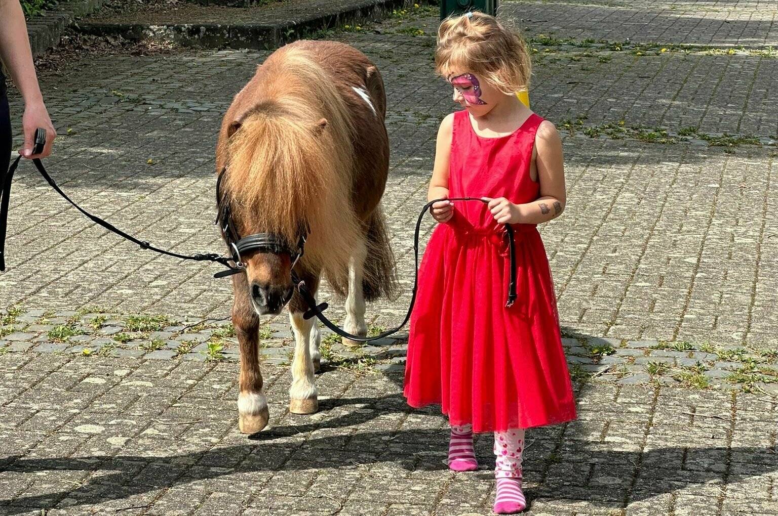 Die kleinen      Besucher konnten den „Ponyführerschein“ machen.