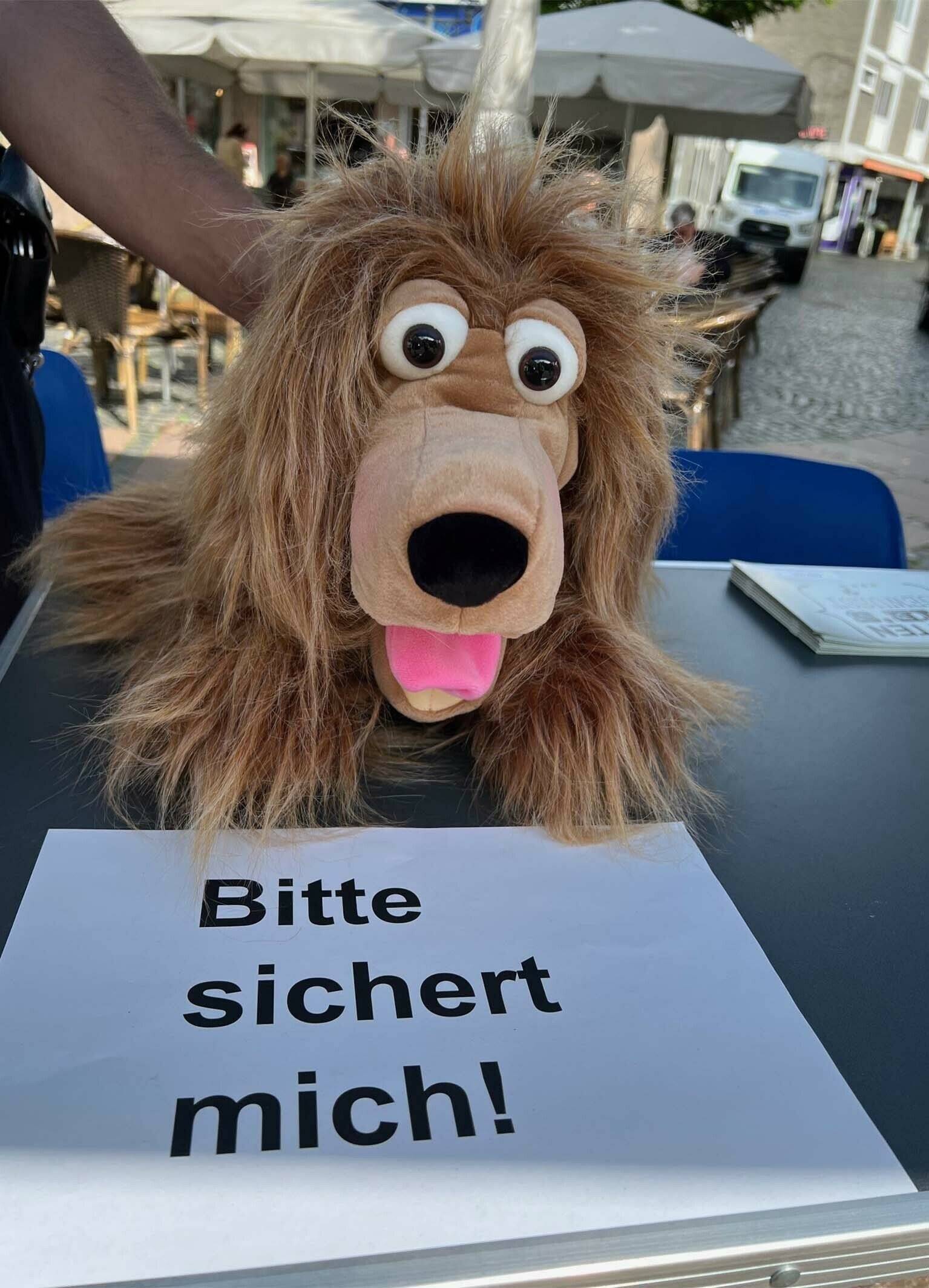 Polizei-Diensthund Abby bei der Arbeit.   
