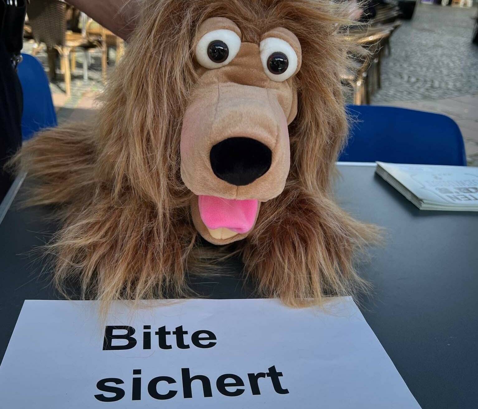 Polizei-Diensthund Abby bei der Arbeit. &#x21e5;Foto: