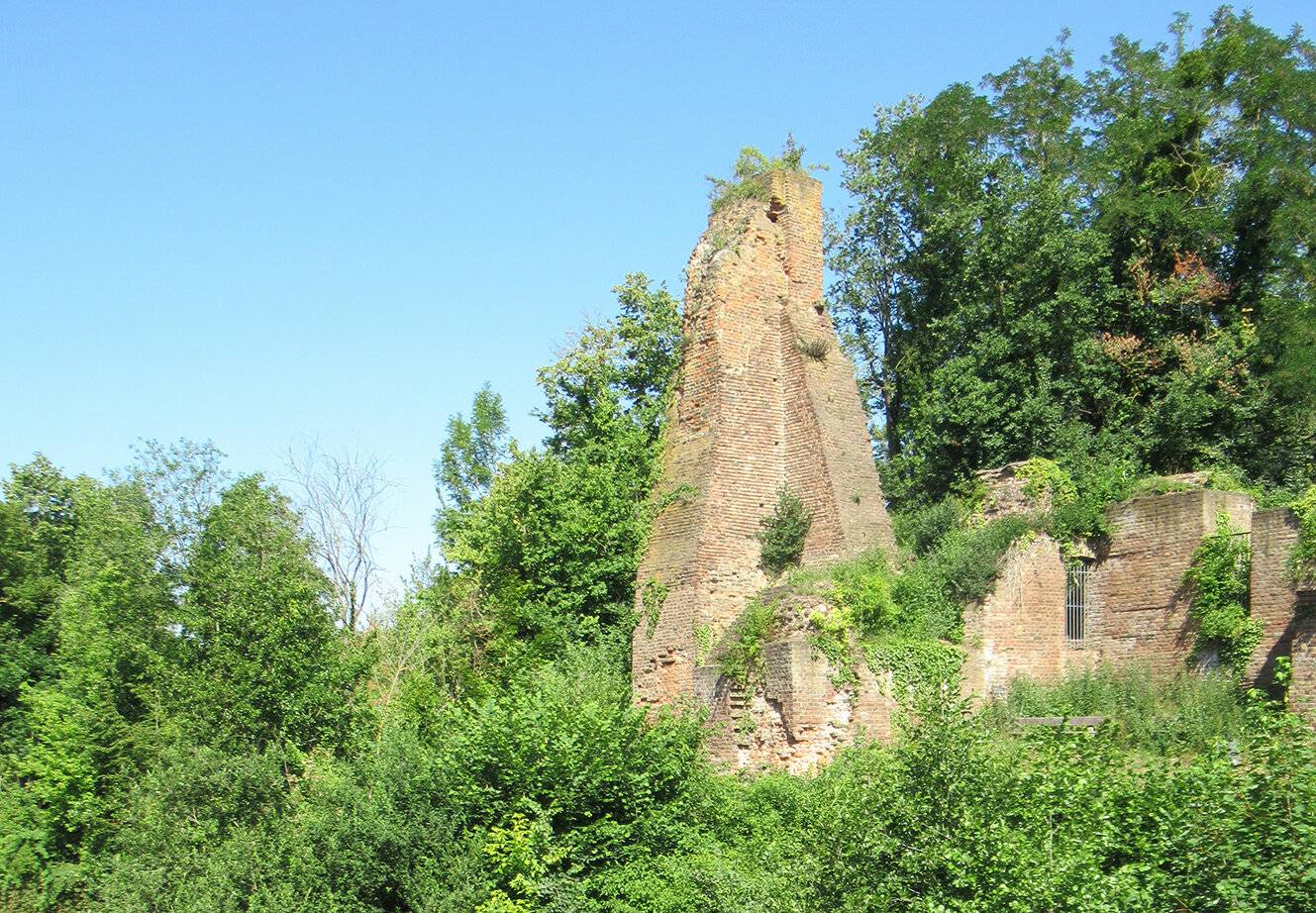 Die Ruinen der Burg von Alt-Kaster. Was ist von all der Herrlichkeit geblieben? Ein von Kellern und Gängen durchfurchter Hügel und etliche Fundamente.  