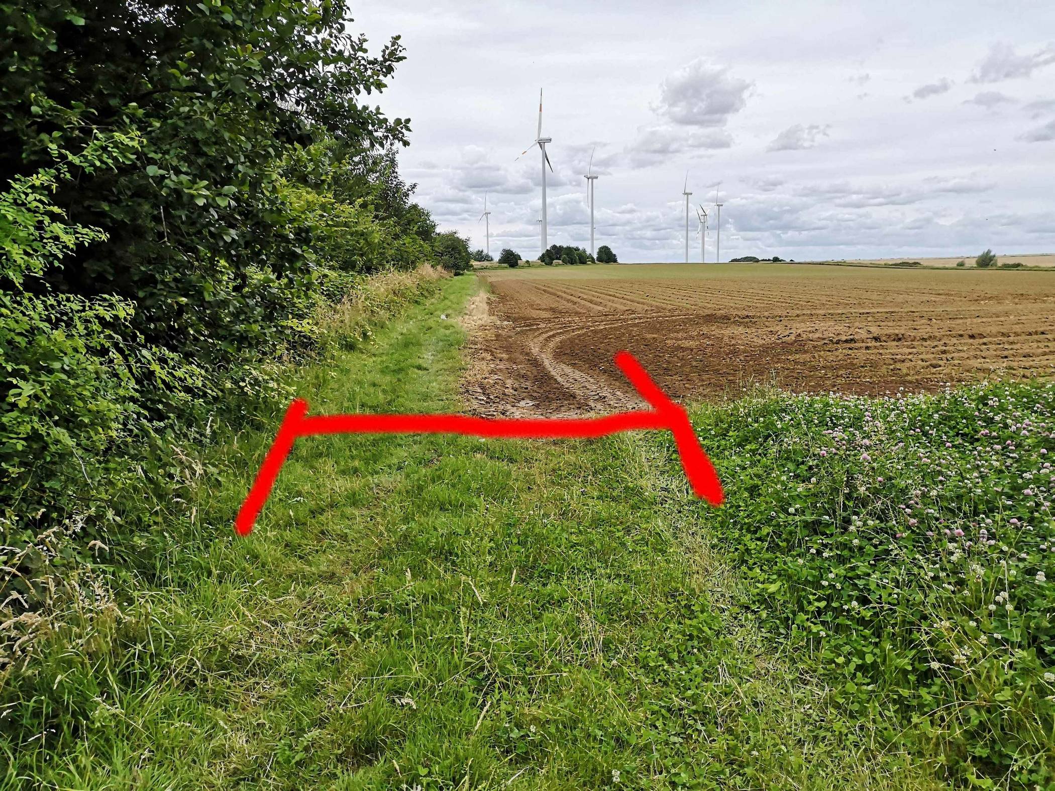  Der halbe Feldweg wurde zur Ackerfläche hinzugepflügt.  Fotos: Thiemann  