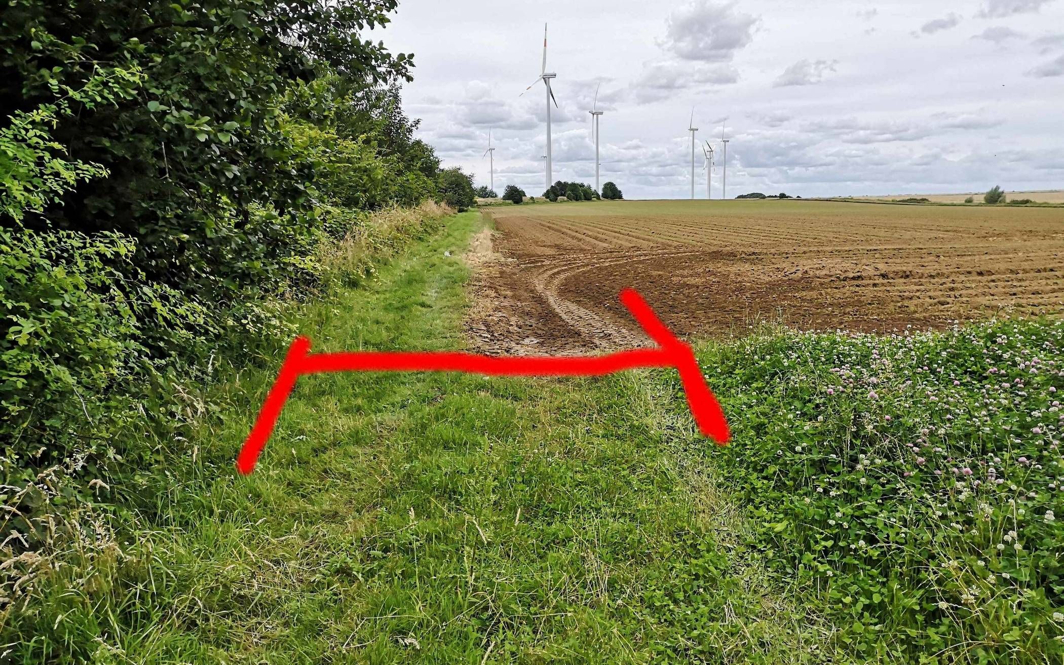 Der halbe Feldweg wurde zur Ackerfläche