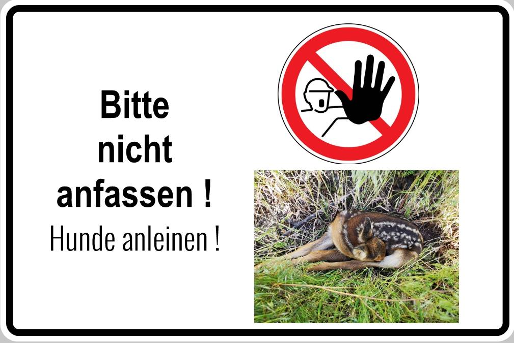Hundebiss am Kasterer See​: Schützt Bambi!​