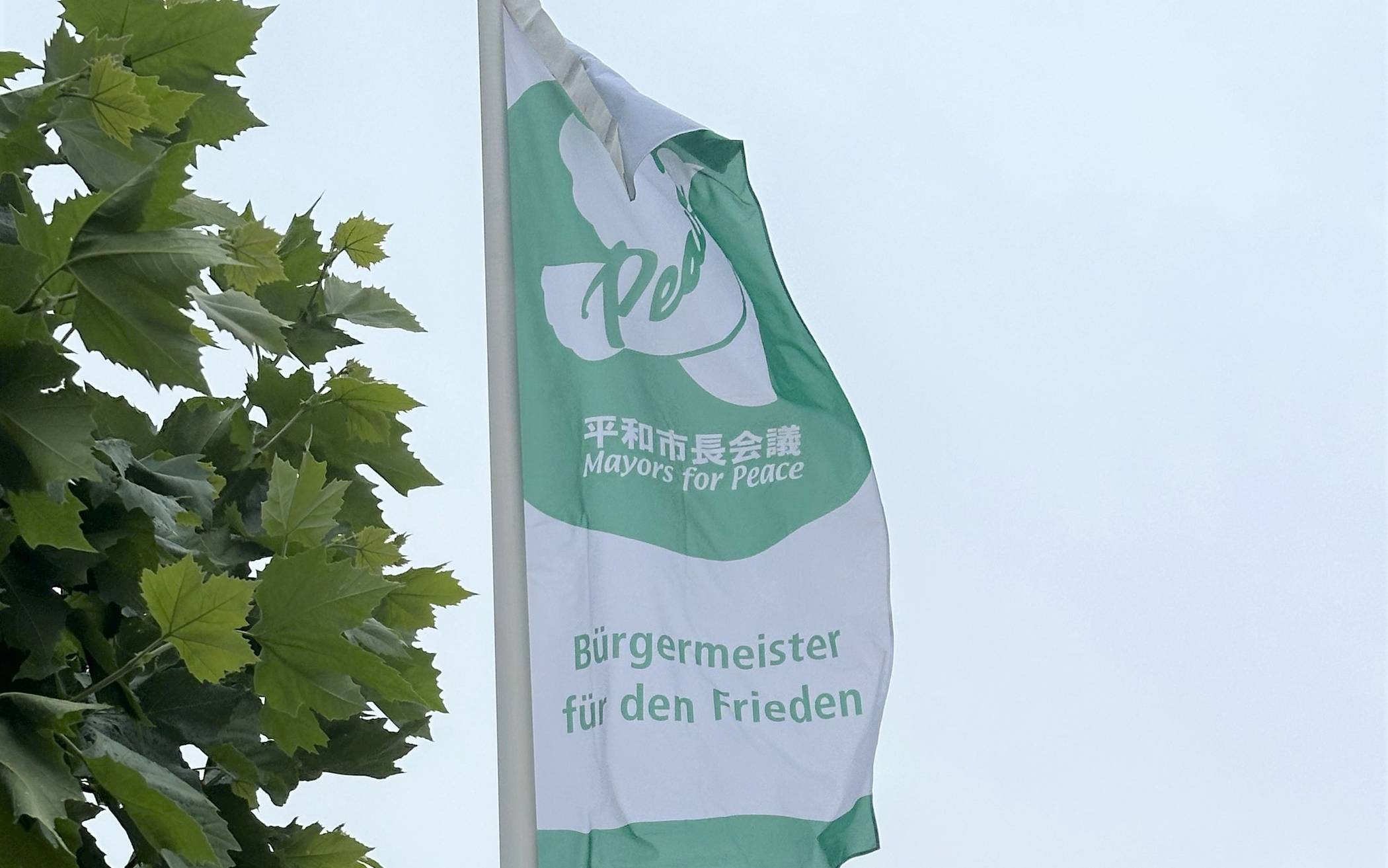 Mayor for peace-Fahne weht vor Rokis Rathaus​
