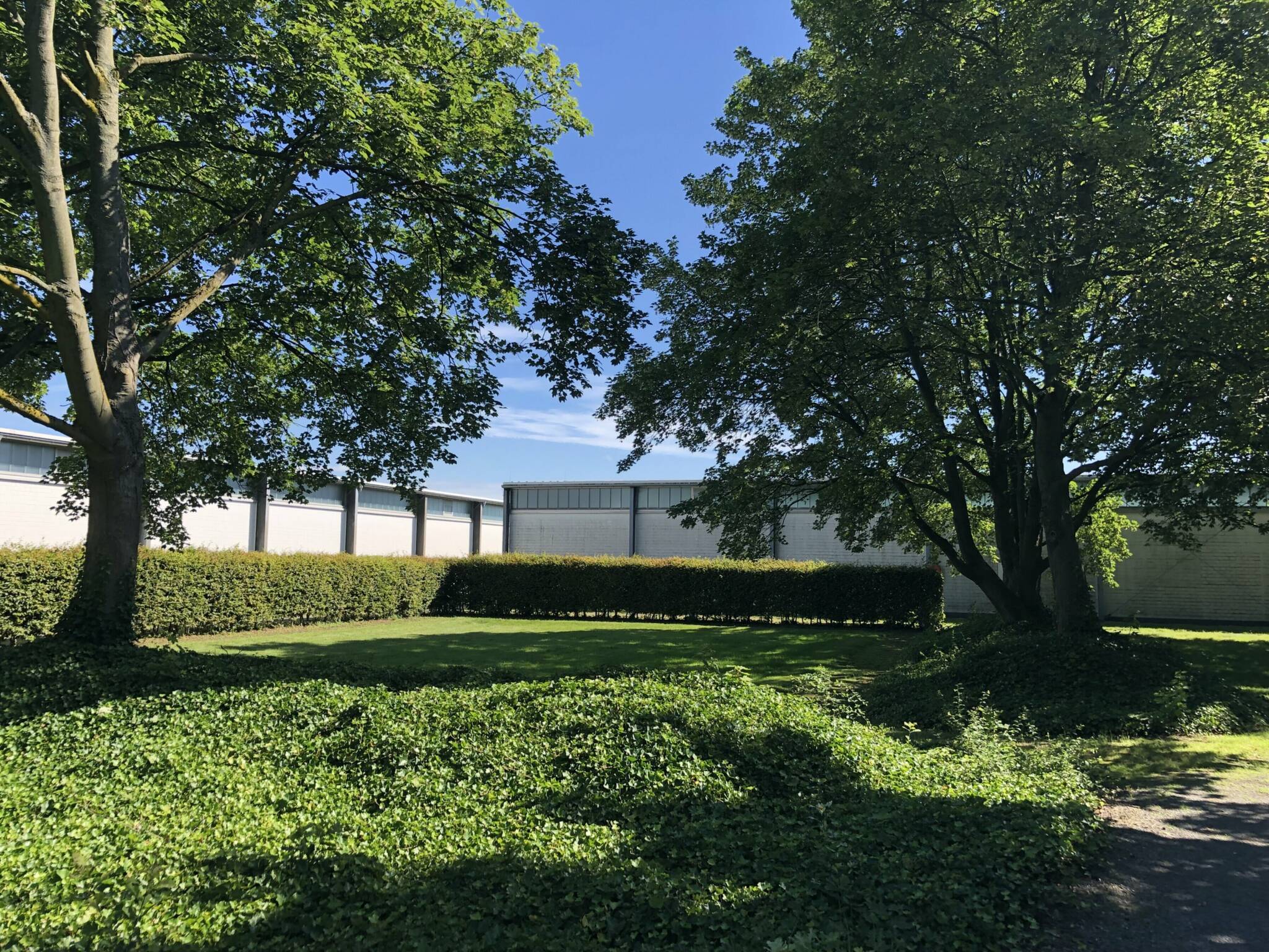 Der Blick über den Schweinestall-Hügel auf die beiden Rückriem-Hallen. 