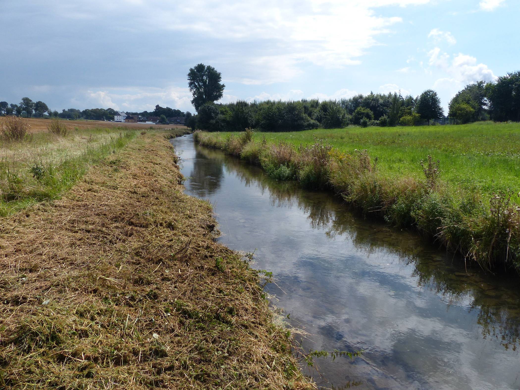  So sieht die Gillbach an der Grenze zum Rhein-Erft-Kreis aus (Kilometer 3.0). Foto: Horst Engel. 