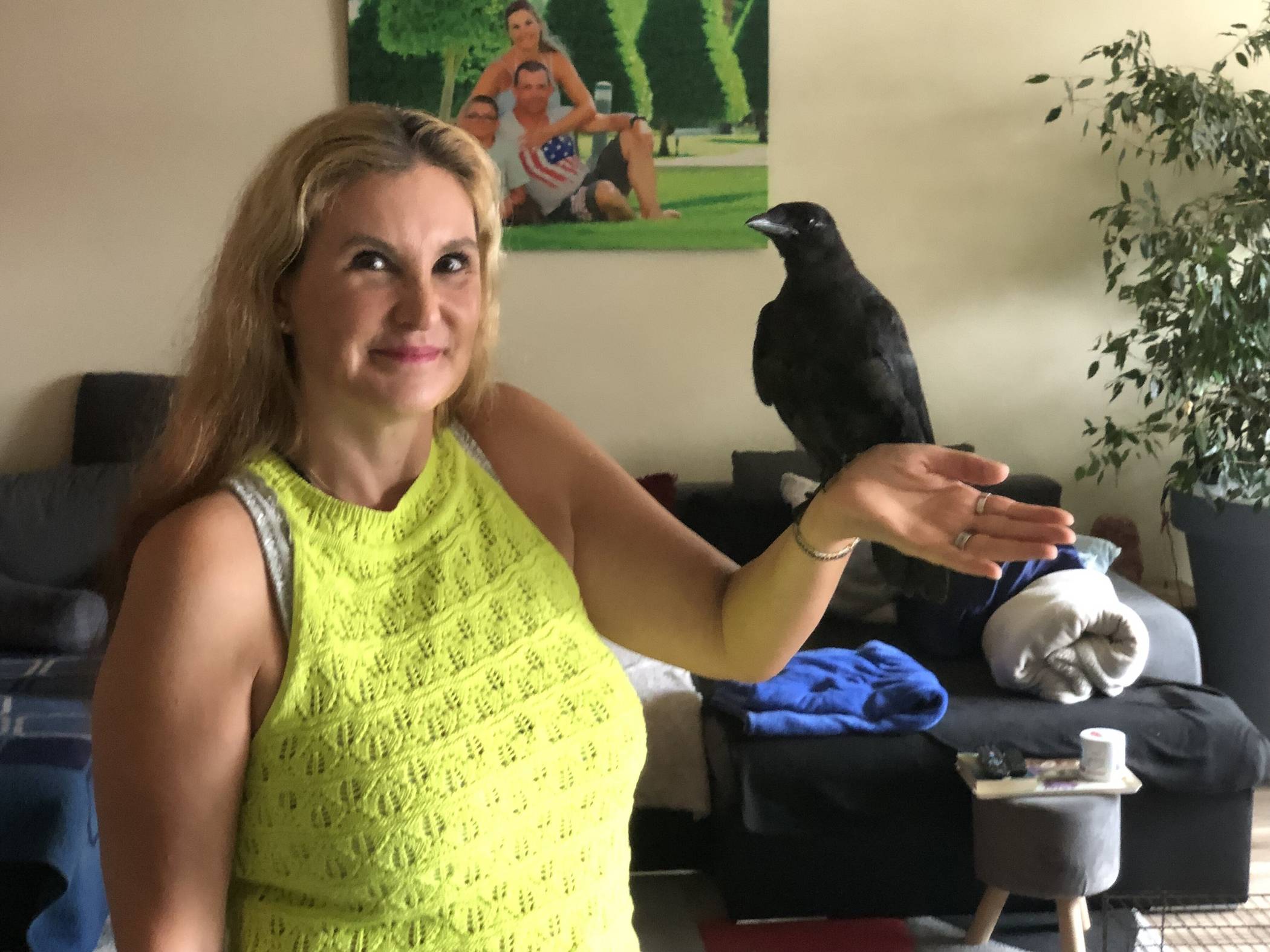 Schamanin Monika Weber päppelte mit „Ragna“ bereits den dritten Raben auf, der ihr nun die Treue hält. Darüber hinaus umsorgt sie „einen Teich voller Fische, zwei Schildkröten, zwei Hunde („Apollo“ und „Luna“) und vier Wellensittiche“.