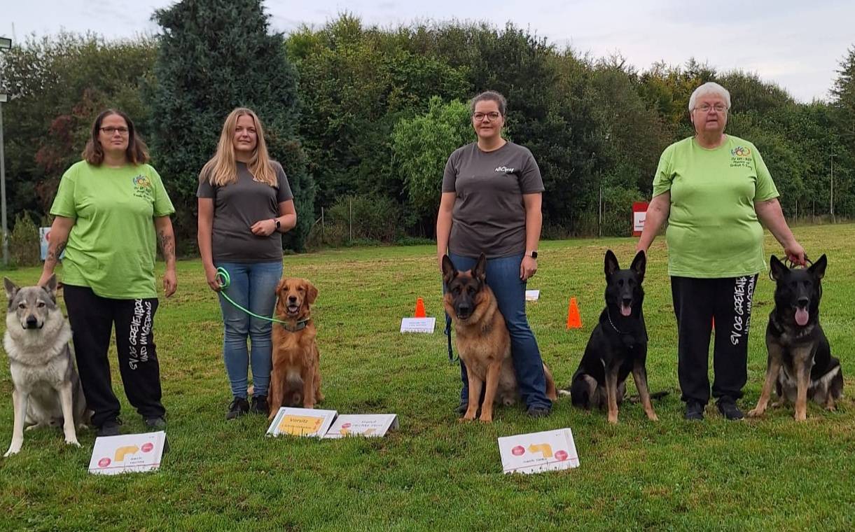  Von links: Angéla Quahs mit „Tonda“ (Tschechoslowakischer Wolfhund), Sabrina Plück mit „Crunchy“ (Golden Retriever), Nicky Bahrke mit „Asko“ (Deutscher Schäferhund) und Marion Reese mit „Grilleh“ und „Easy“ (Deutsche Schäferhunde).   