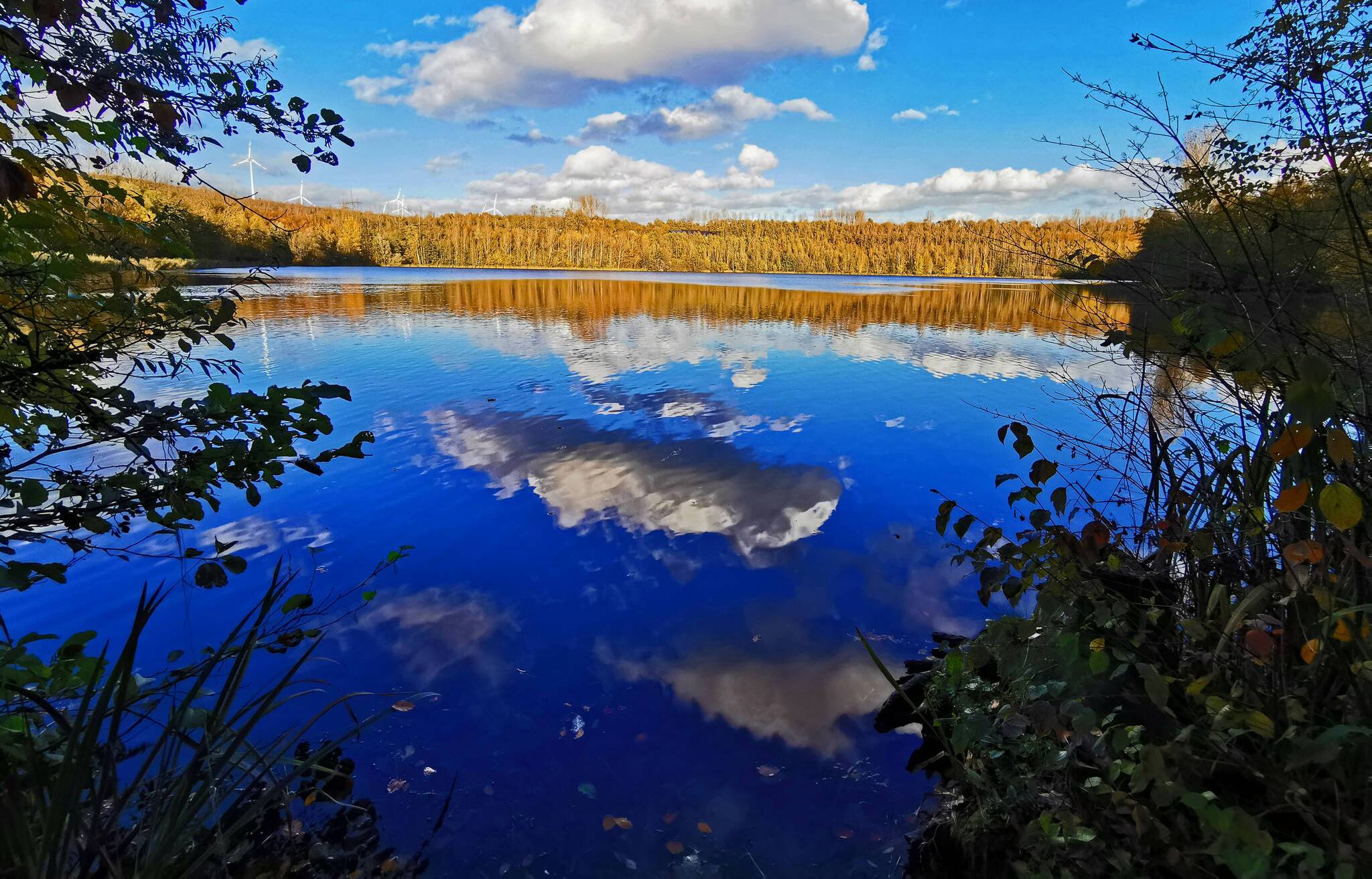 Herbst am Neurather See: Diese wunderbare