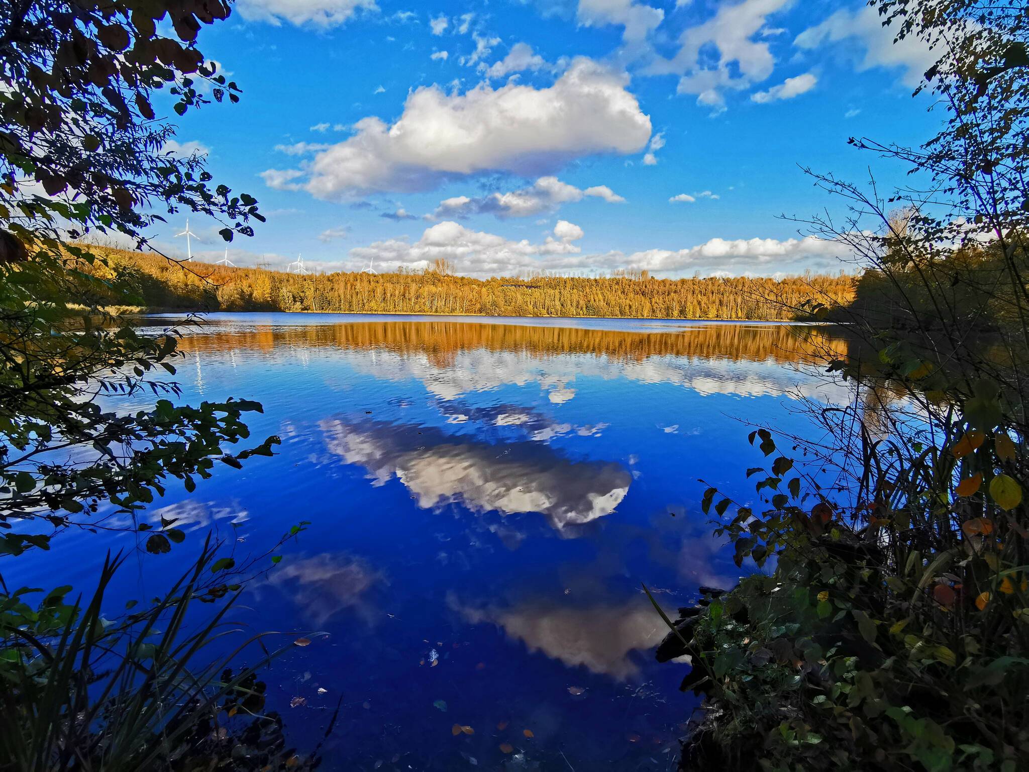  Herbst am Neurather See: Diese wunderbare Aufnahme verdanken wir Hans Aussem. 