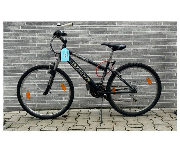  Das Herrenfahrrad. 