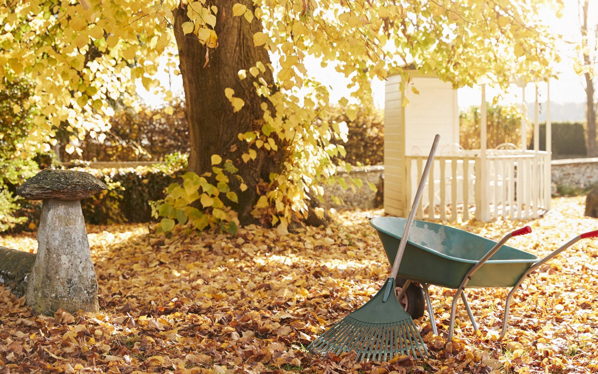 Garten im Herbst.
