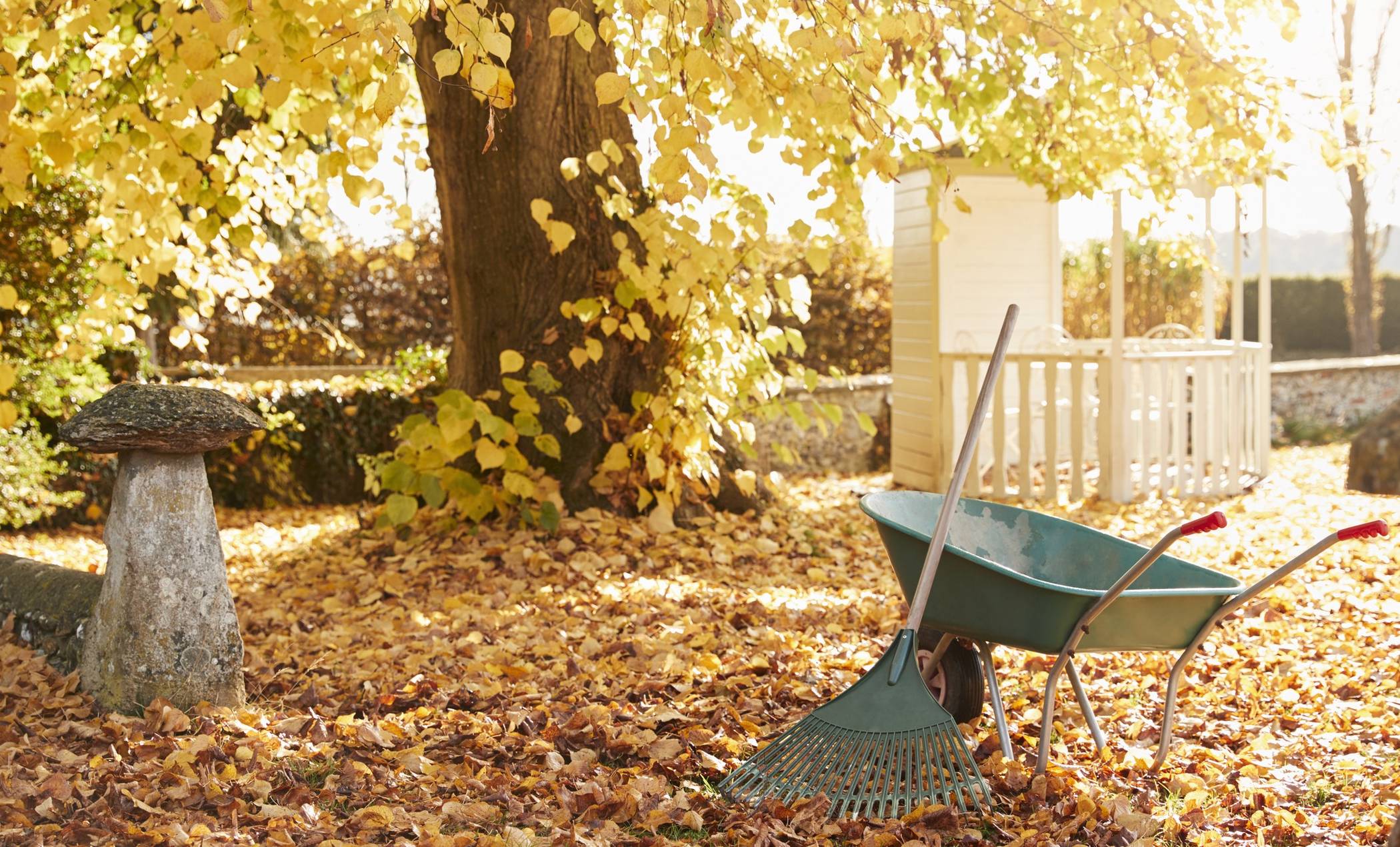  Garten im Herbst. 