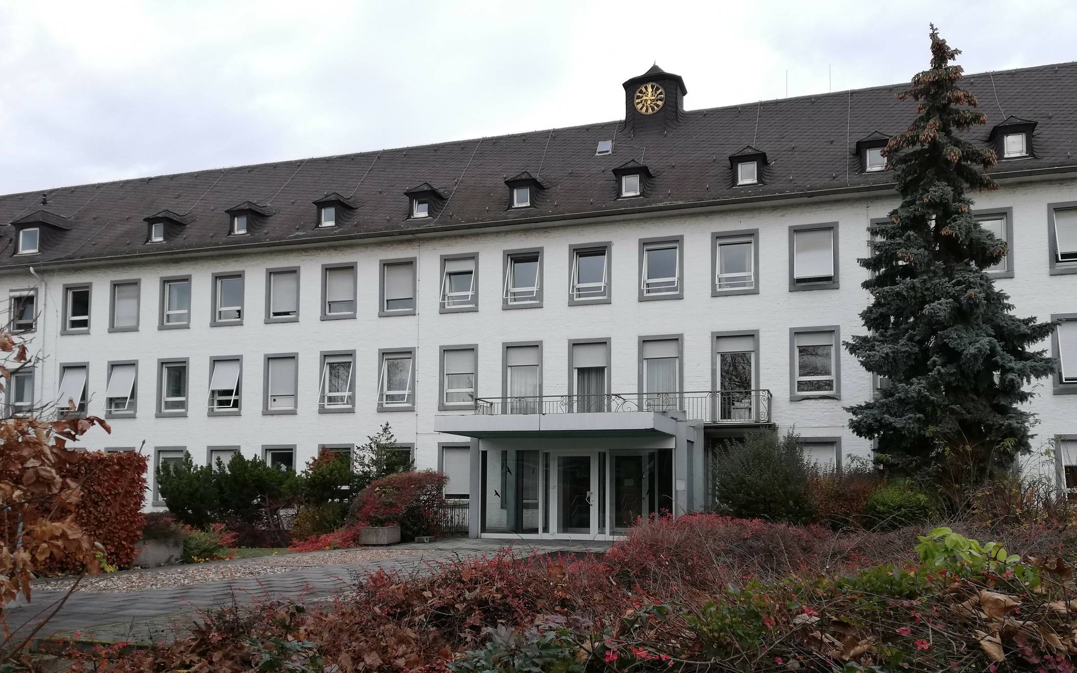 Brief an Breuer und Petrauschke