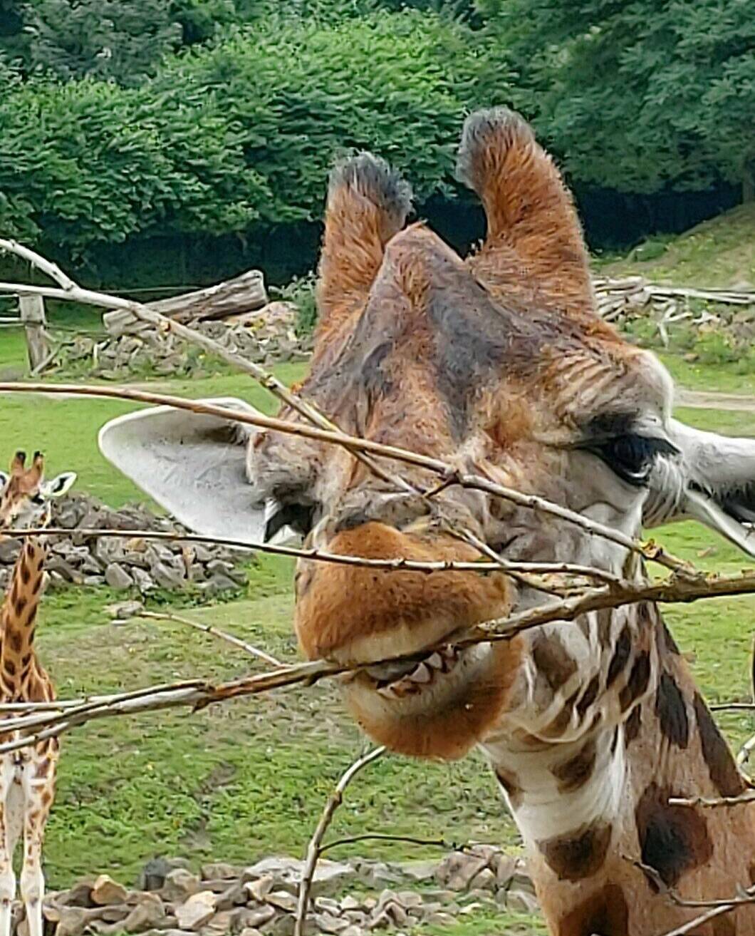  Das Siegerfoto. 