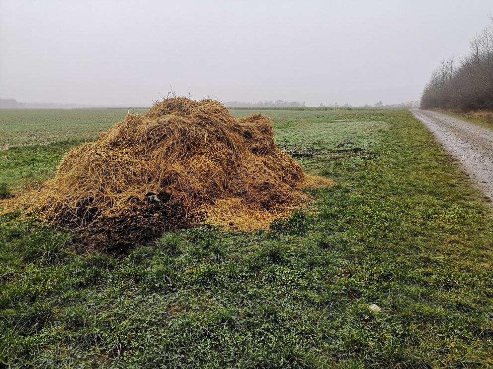 Naturschutzberater Rolf Thiemann: „Schon wieder dreiste landwirtschaftliche Entsorgung“