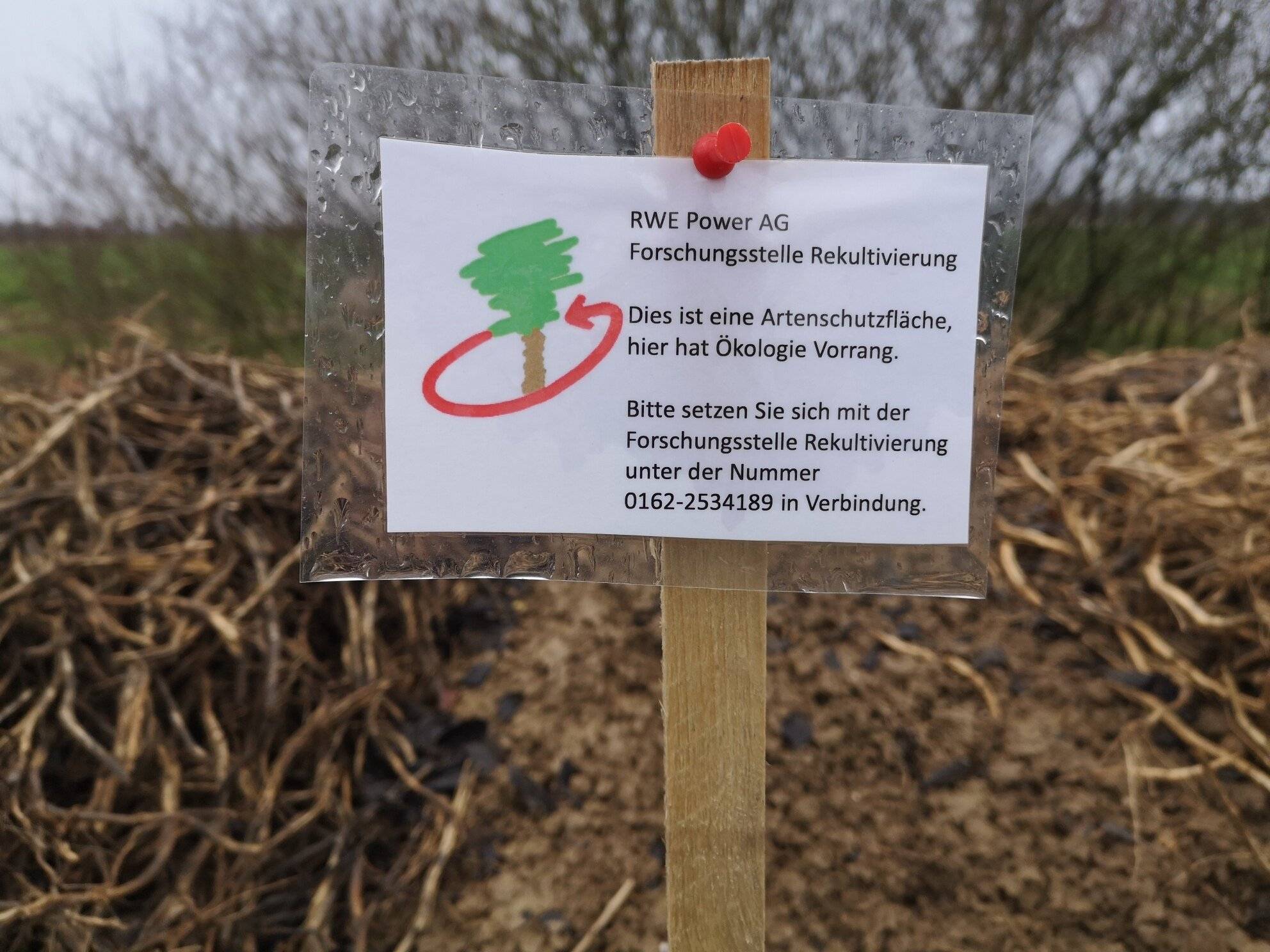 Naturschutzberater Rolf Thiemann: „Schon wieder dreiste landwirtschaftliche Entsorgung“