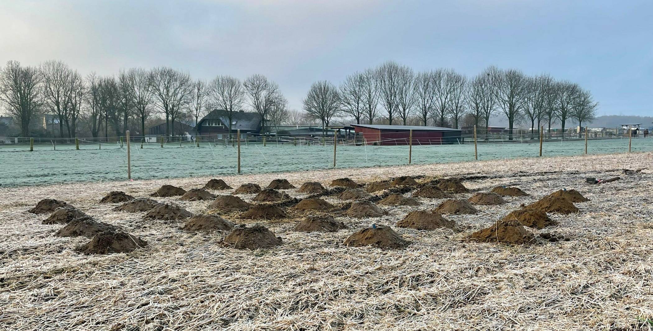 Update zur Kampfmittelsondierung in Neu‑Elfgen