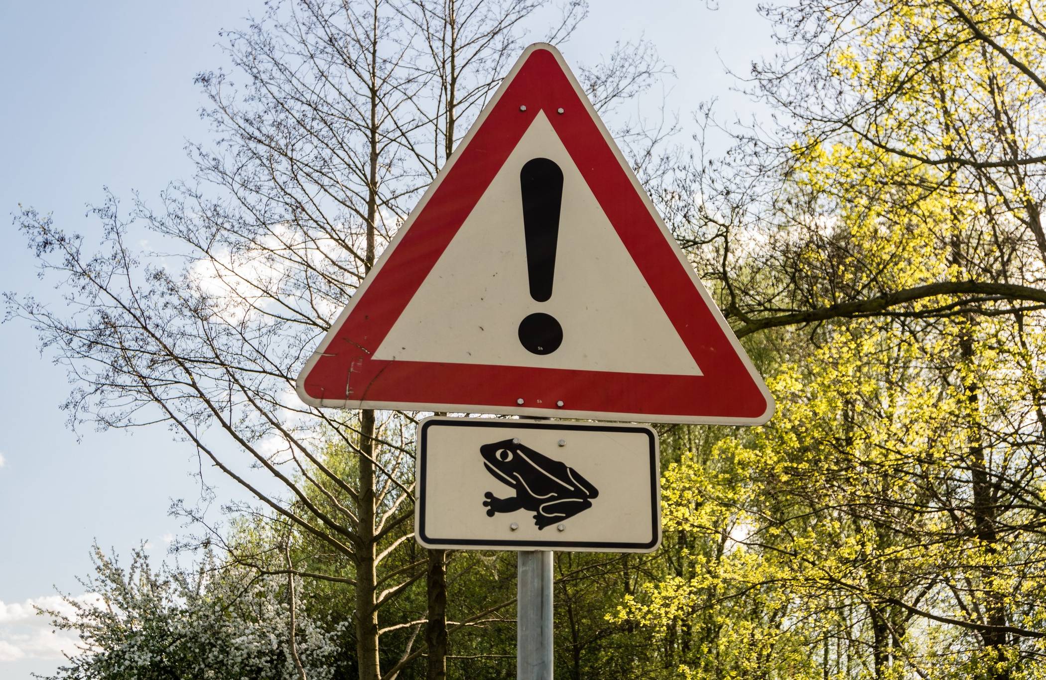 Fuß vom Gas für die liebestollen Kröten