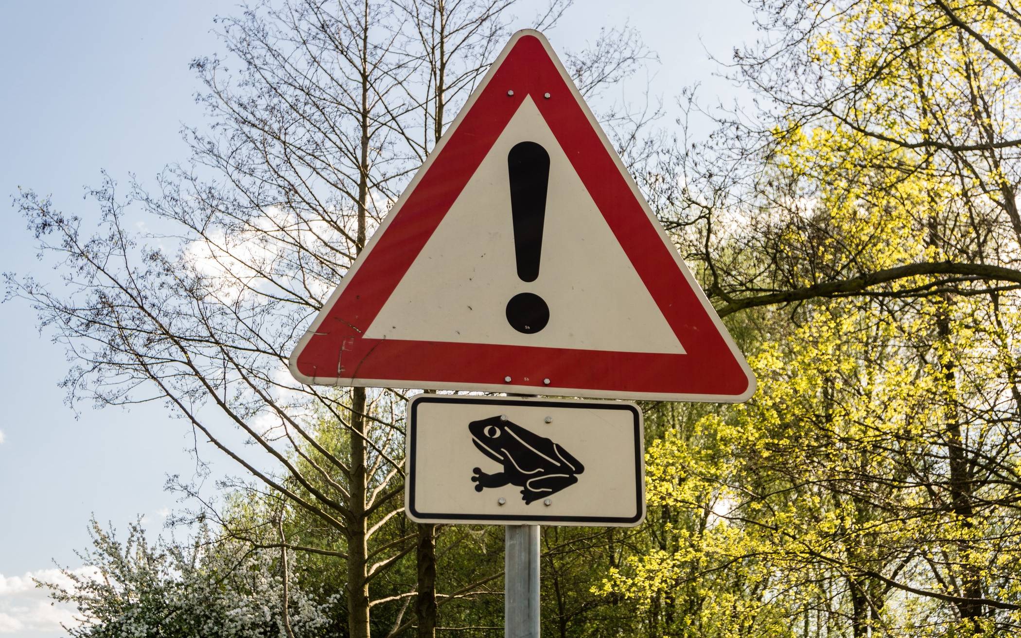 Fuß vom Gas für die liebestollen Kröten