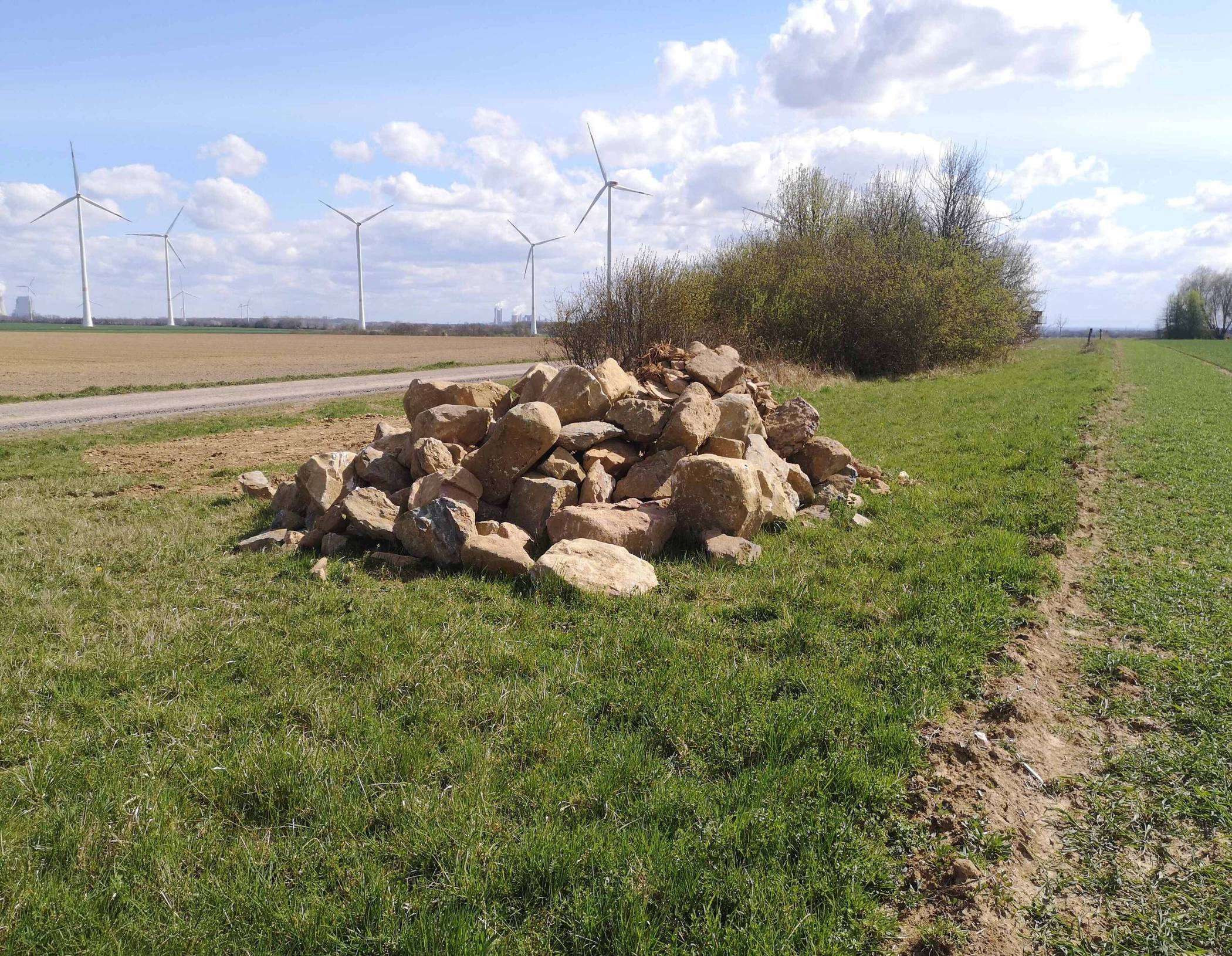  Der neue Steinschmätzer-Haufen auf der Königshovener Höhe.  Fotos: Rolf Thiemann  
