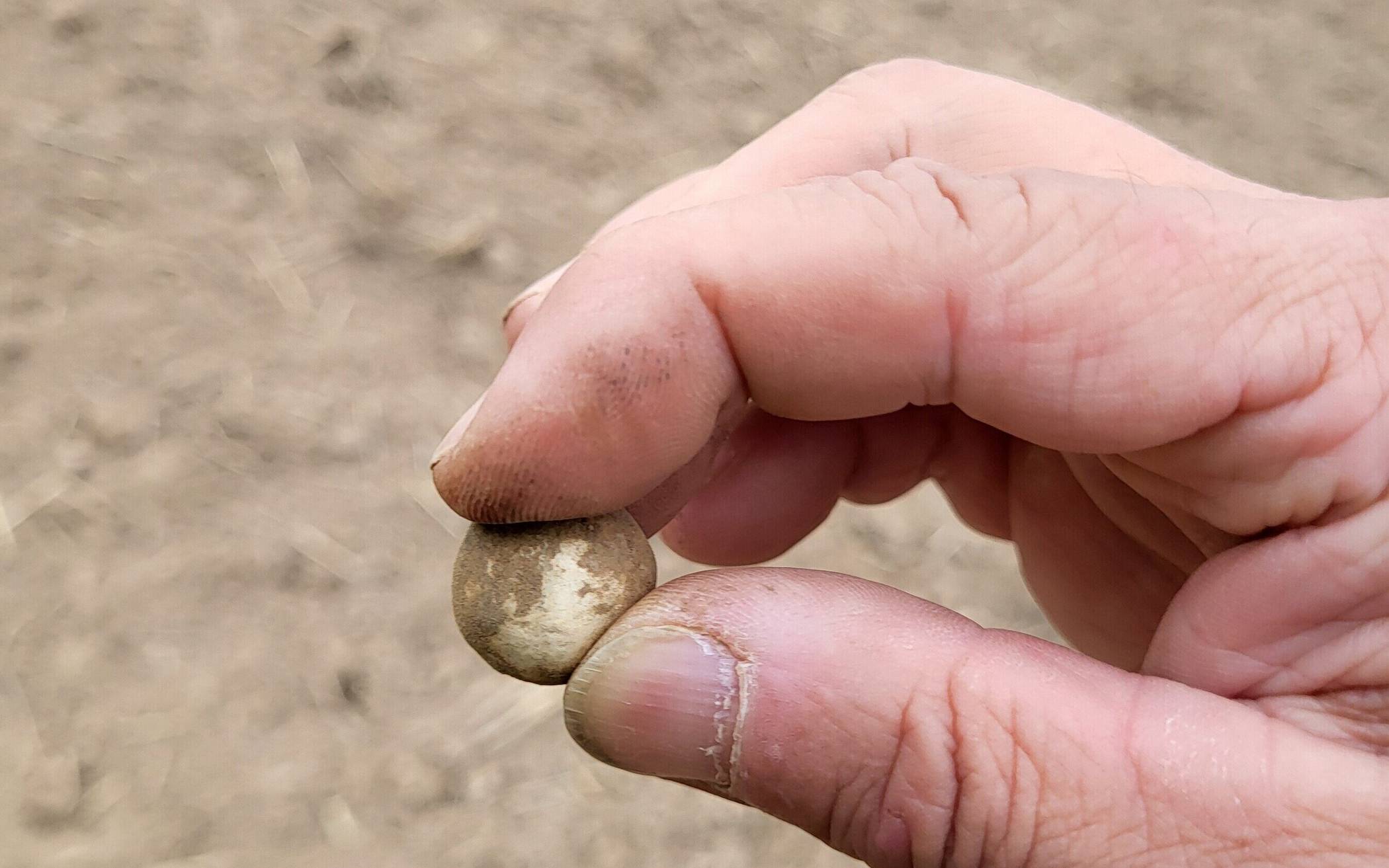 Oben: Eine Musketenkugel, die bei den Sondierungen im Rahmen der Untersuchungen zum Schlachtfeld der „Schlacht bei Wevelinghoven“ 1648 gefunden wurde. Rolf Rosenberger selbst hat die Sondierungen teilweise mit vor Ort begleitet.