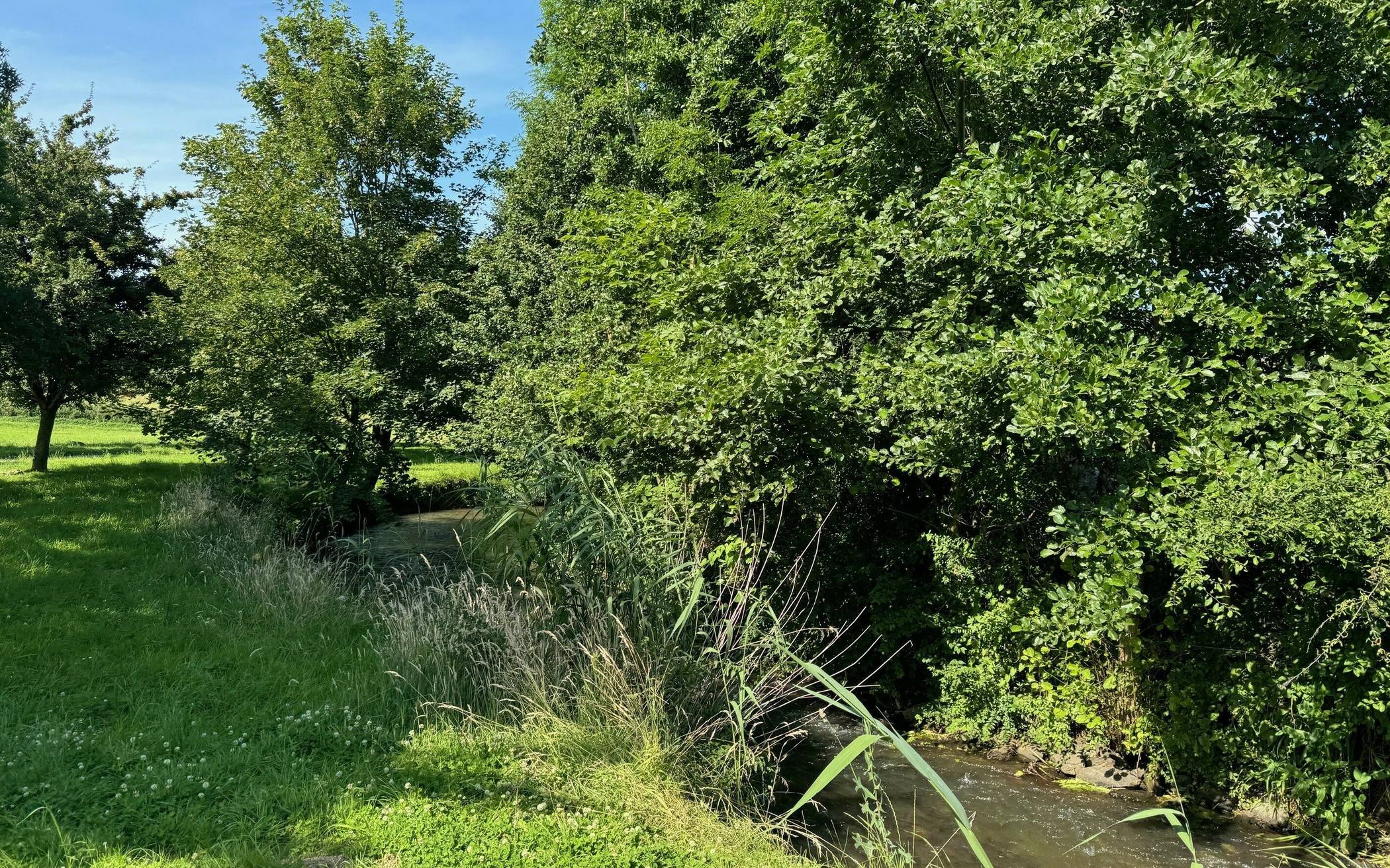 Wie lange bleibt der Gillbach noch so lauschig-romantisch? Wird er in Zukunft nur noch nach Starkregen Wasser führen? Was bedeutet das für die gesamte Gillbachaue? Fragen, die jetzt ein Gutachten beantworten soll. .  