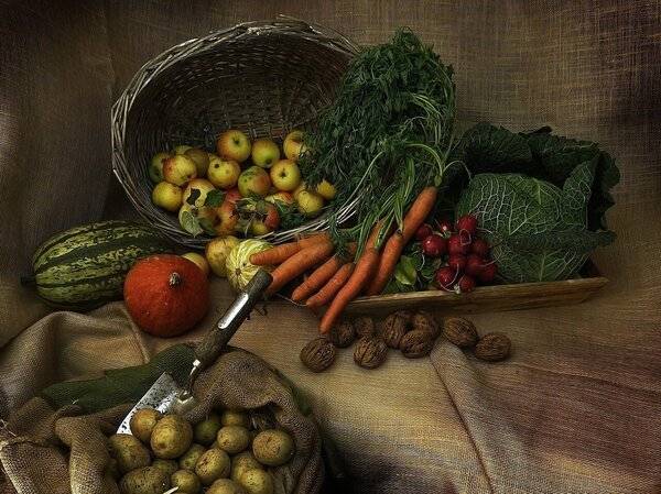 Die besten Tipps für eine gesunde Ernährung im Alltag