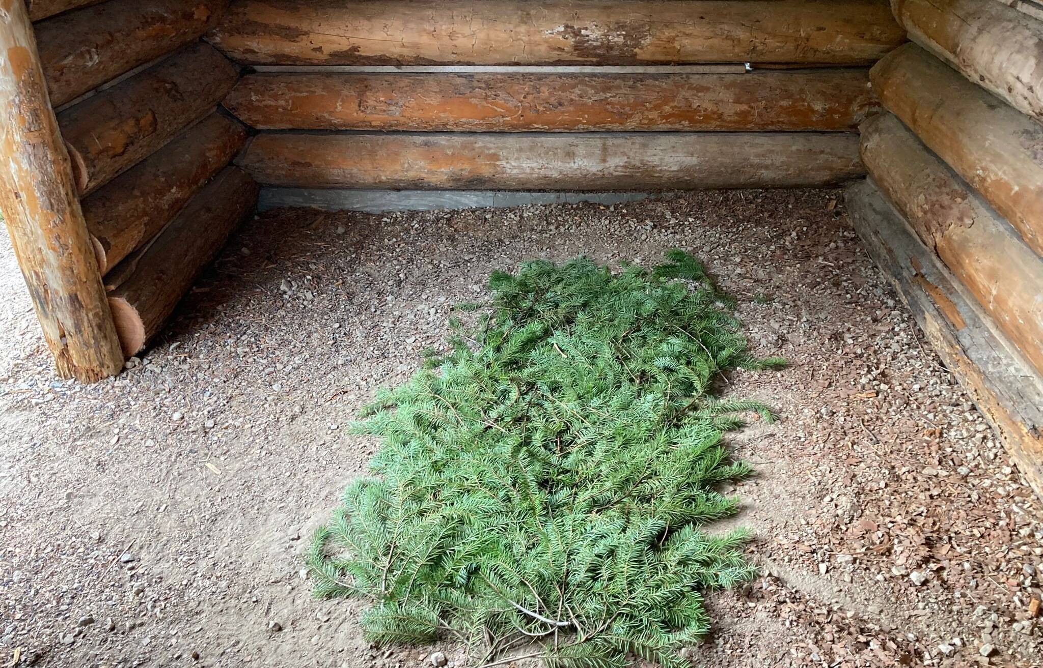 „Überrascht von einem Thunderstorm suchte ich Schutz und übernachtete in der...