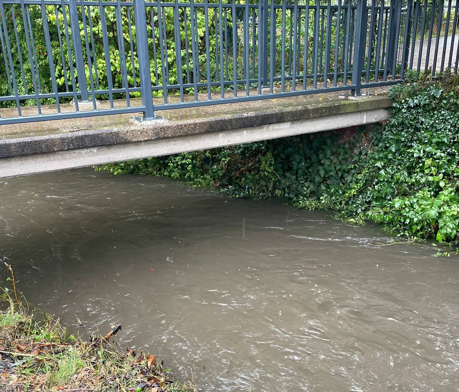 Nach dem Tag, als der Regen kam ...: Entspannung am Gillbach