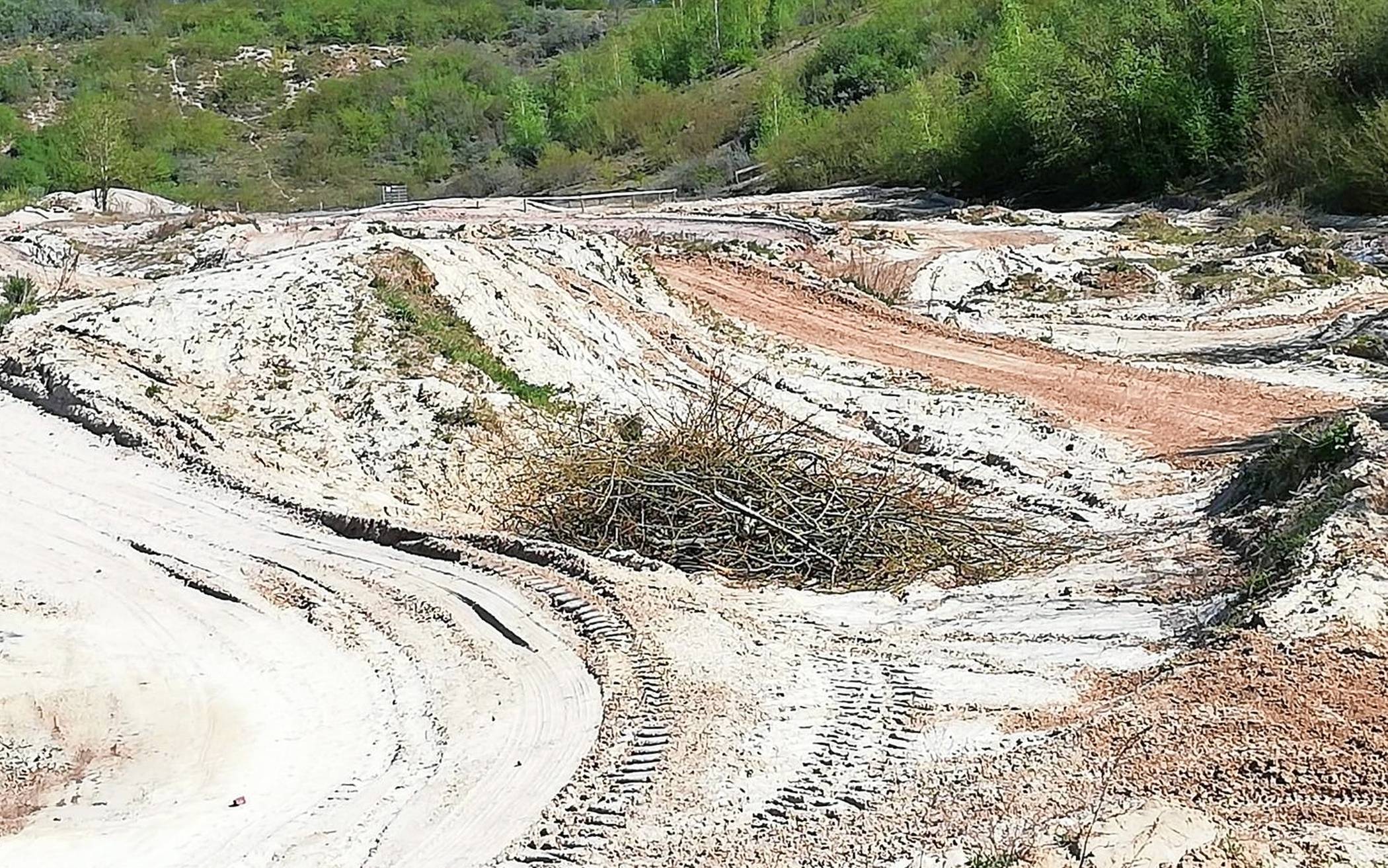 Das sandig-wüste MSC-Gelände ist ein ideales Habitat für diese Kröten. Und sie sind nachtaktiv, vor den Crossern also sicher.  