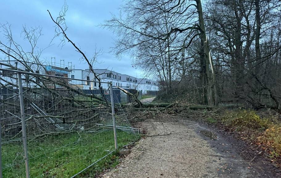Die Bebauung wurde viel zu nahe an den Wald herangezogen, monierte Thiemann schon vor geraumer Zeit. Jetzt fordert den Abriss der Häuser.