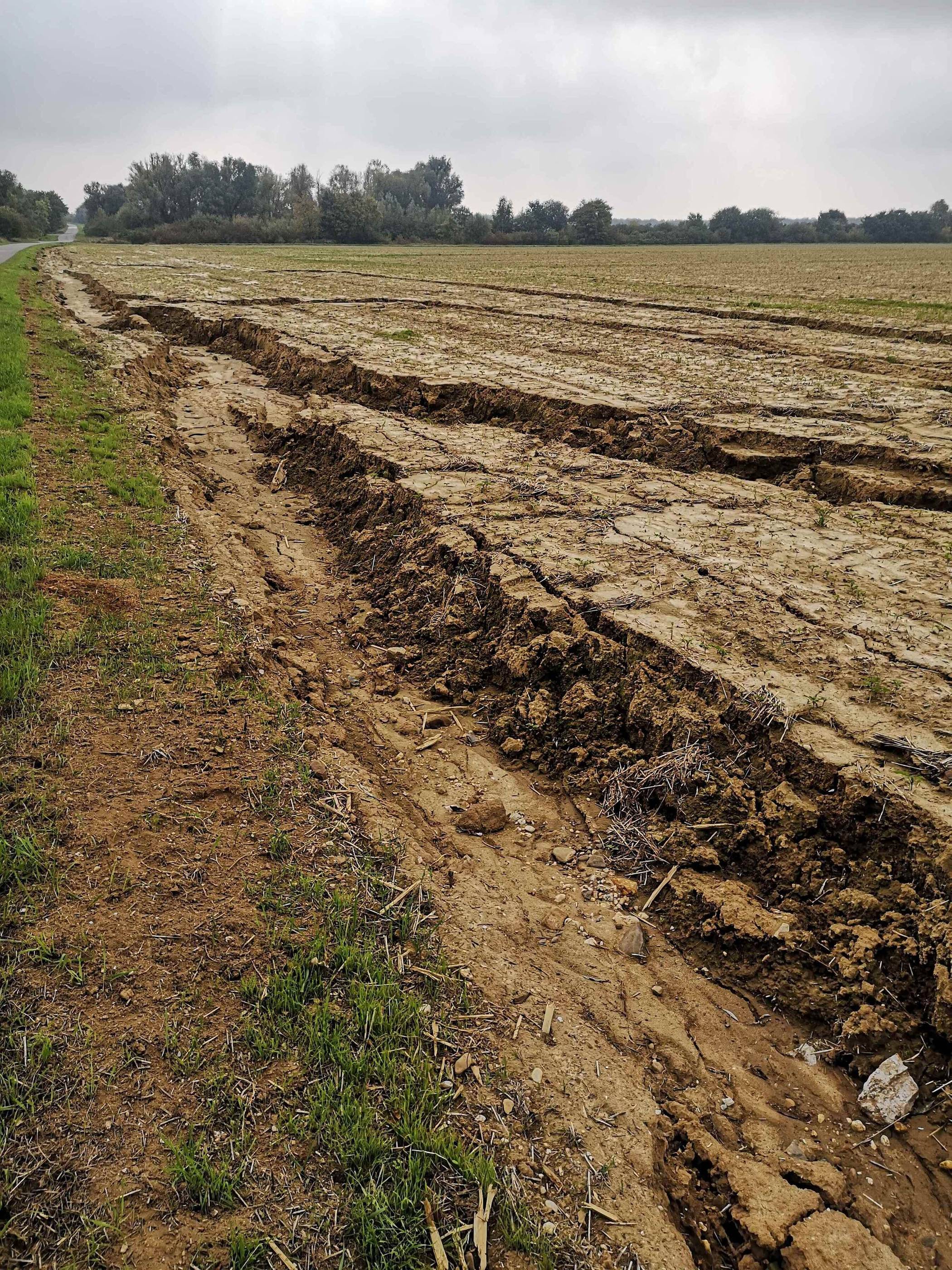 Wenn das Regenwasser nicht ablaufen und versichern kann, hinterlässt es deutliche Spuren.