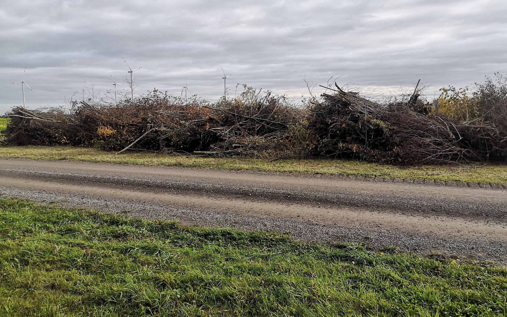 Ignoranz und Gleichgültigkeit
