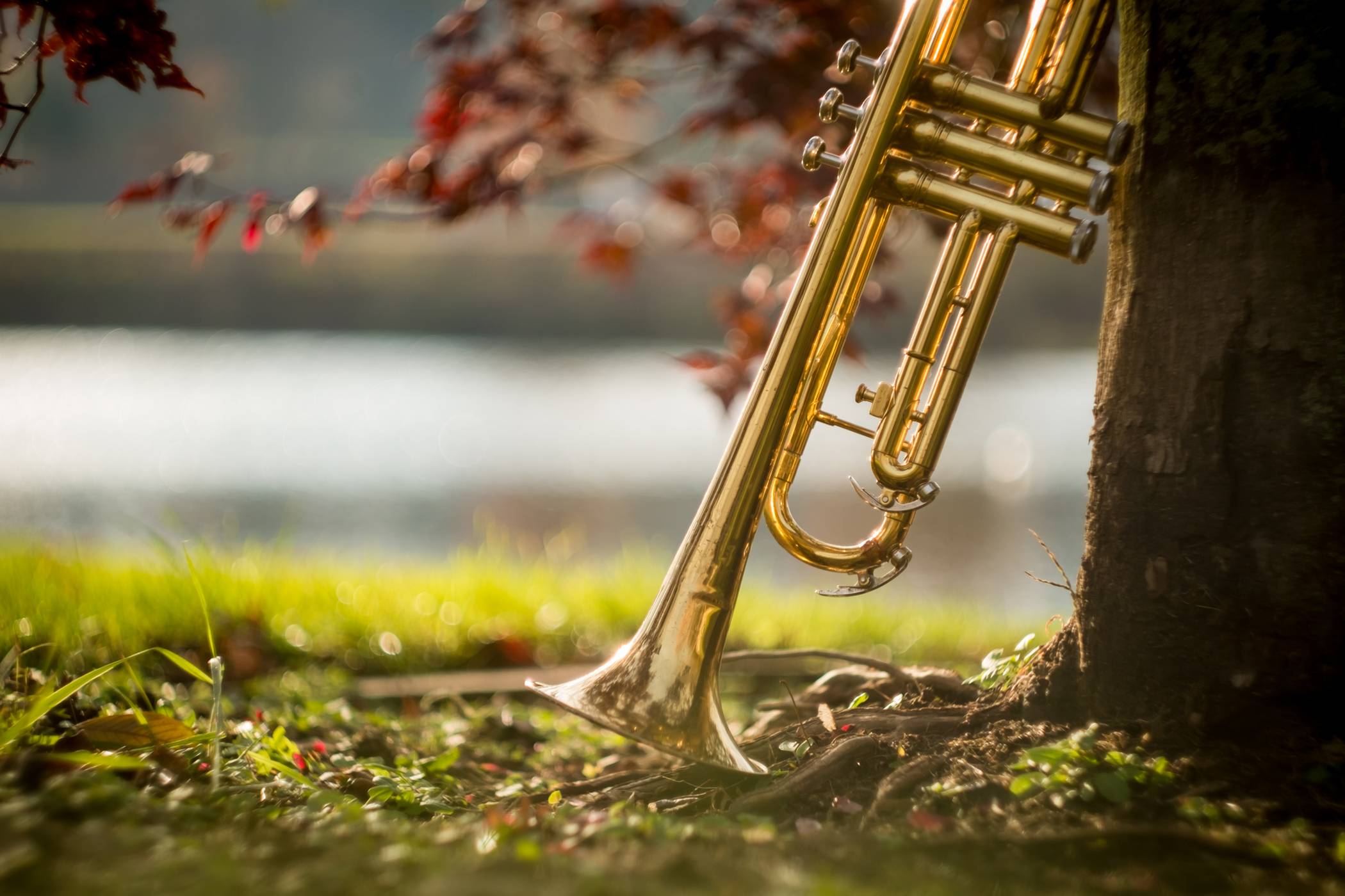 Mit sieben Konzerten meldet sich die Musikschule Rhein-Kreis Neuss zurück aus den Herbstferien. Das Programm reicht von Klassik bis zu Jazz und Pop.