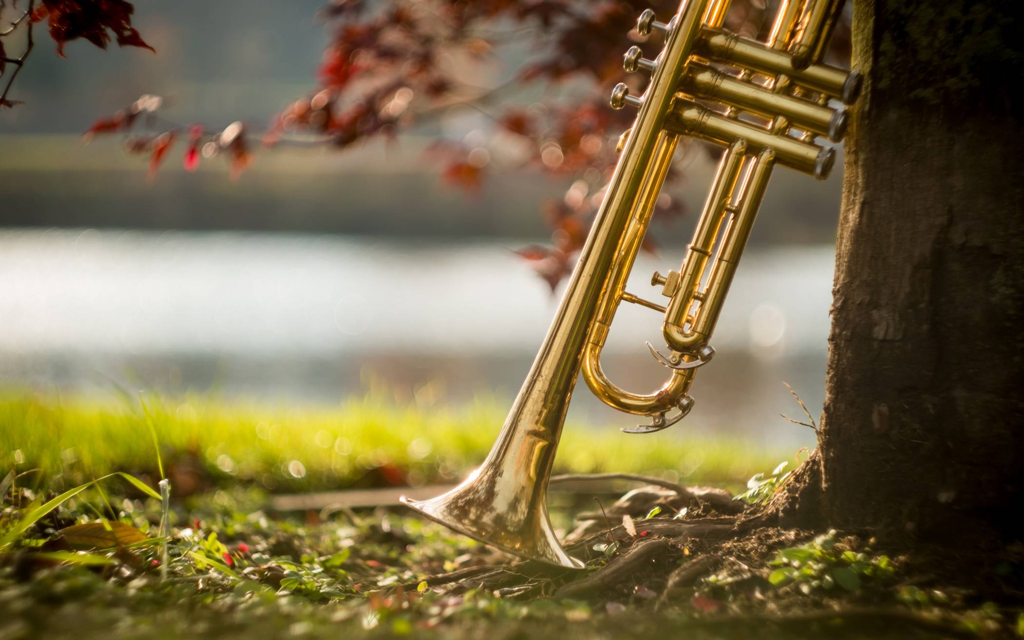 Mit sieben Konzerten meldet sich die